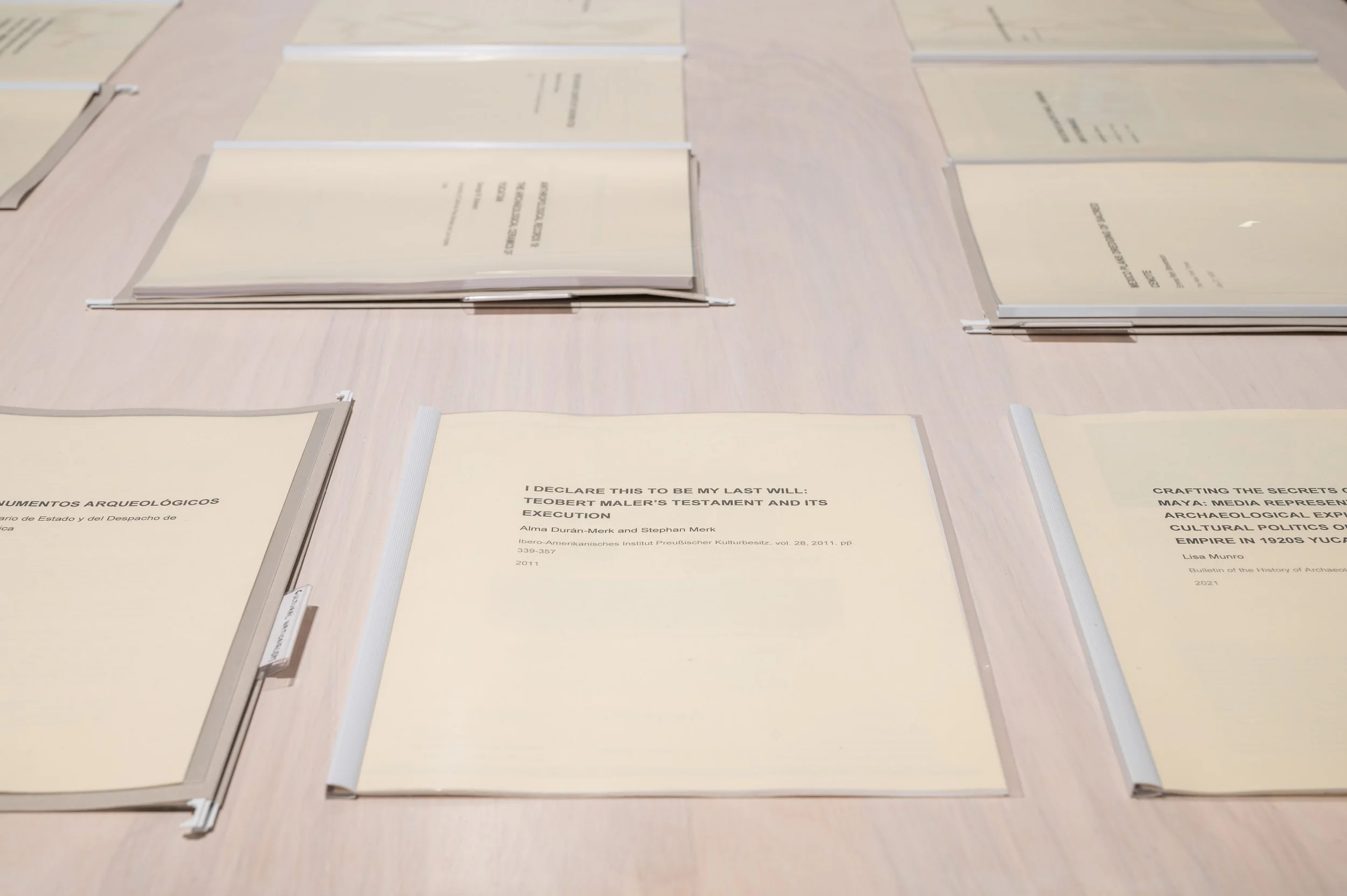 Gala Porras-Kim- Between Lapses of Histories_small__CSW2091.jpg