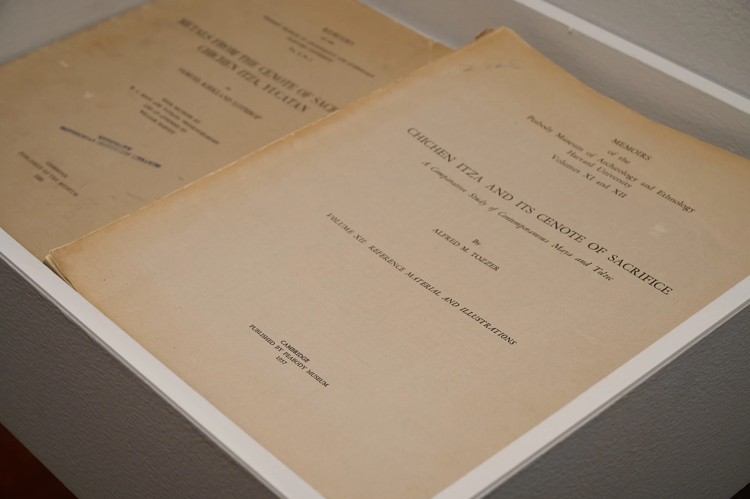 Gala Porras-Kim- Between Lapses of Histories_small_Galax22718.jpg