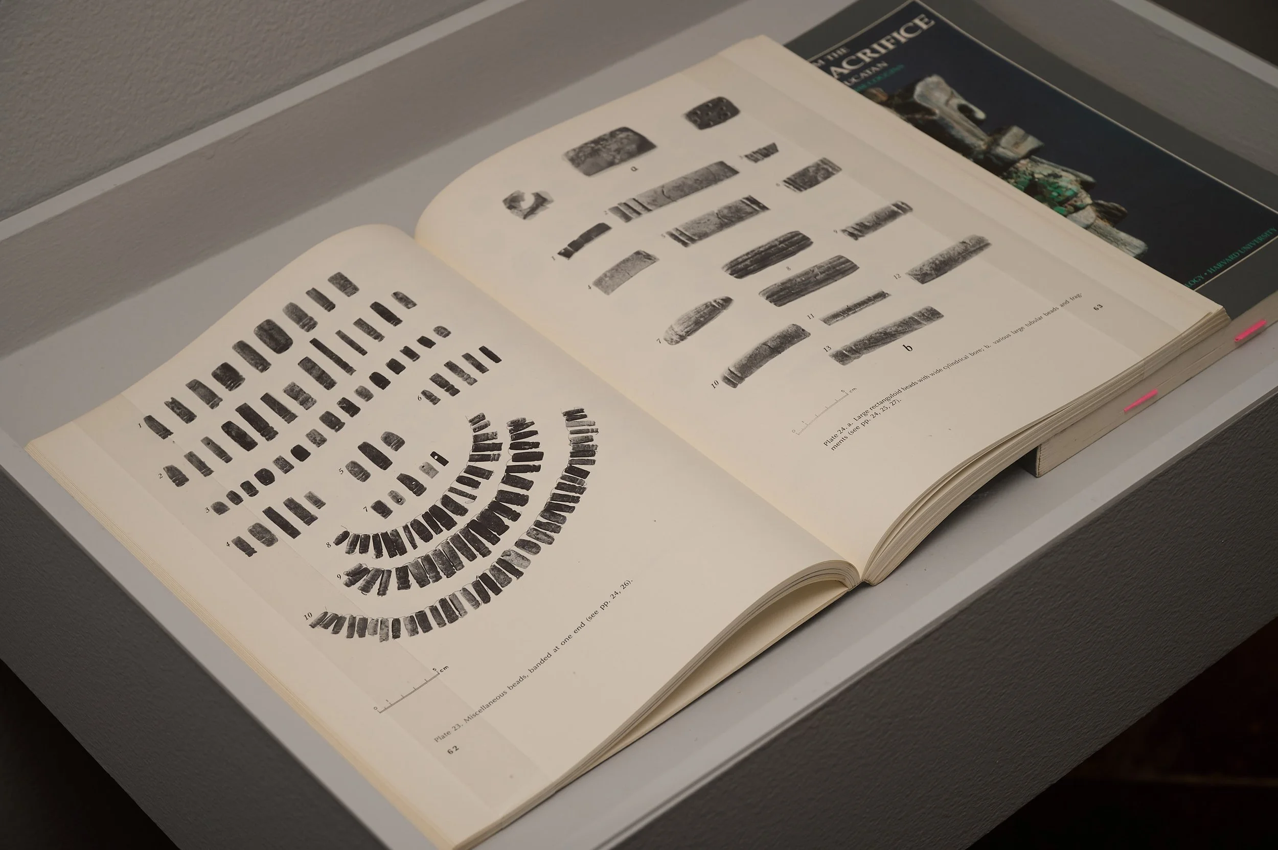 Gala Porras-Kim- Between Lapses of Histories_small_Galax22730.jpg