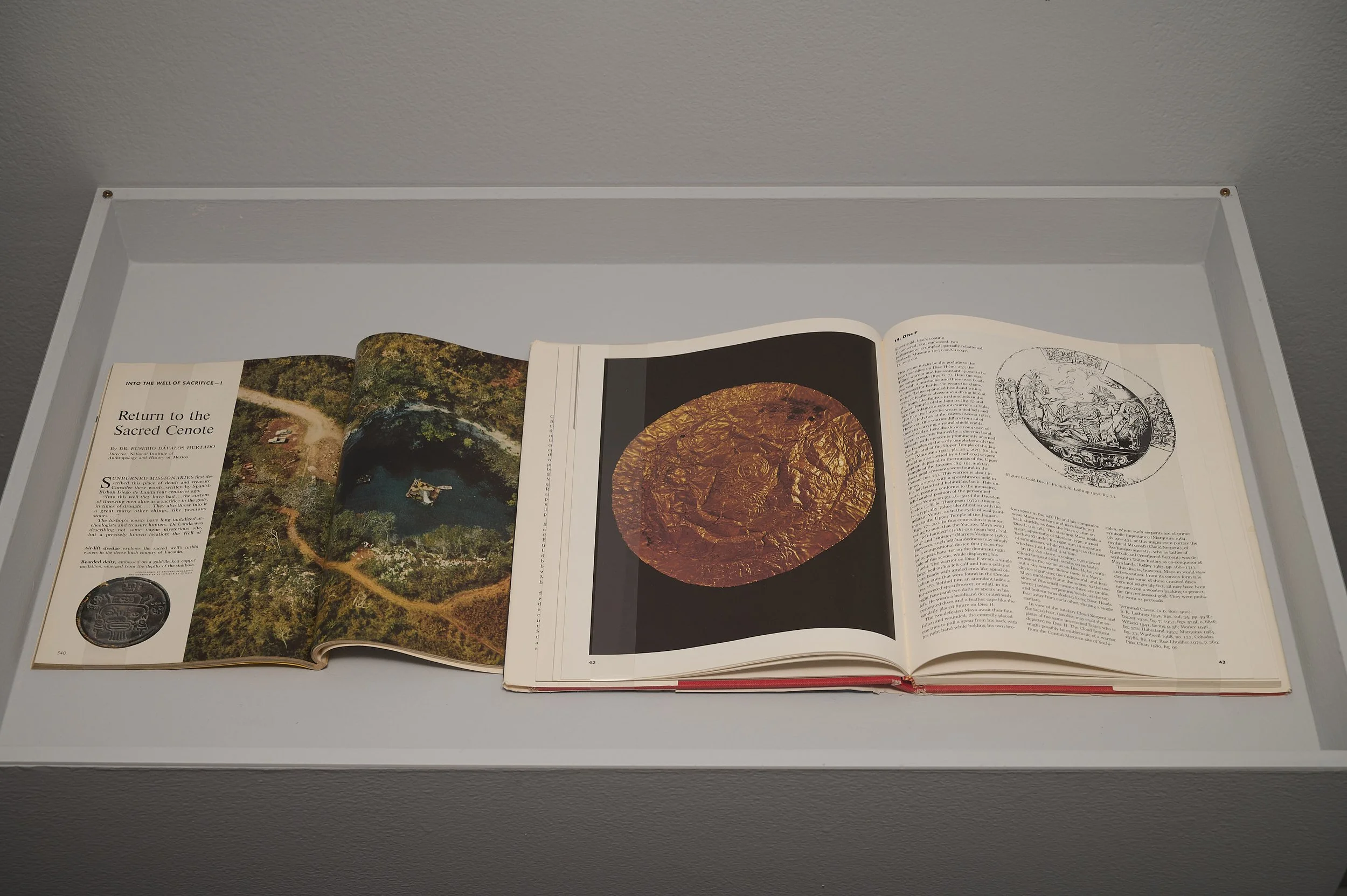 Gala Porras-Kim- Between Lapses of Histories_small_Galax22747.jpg