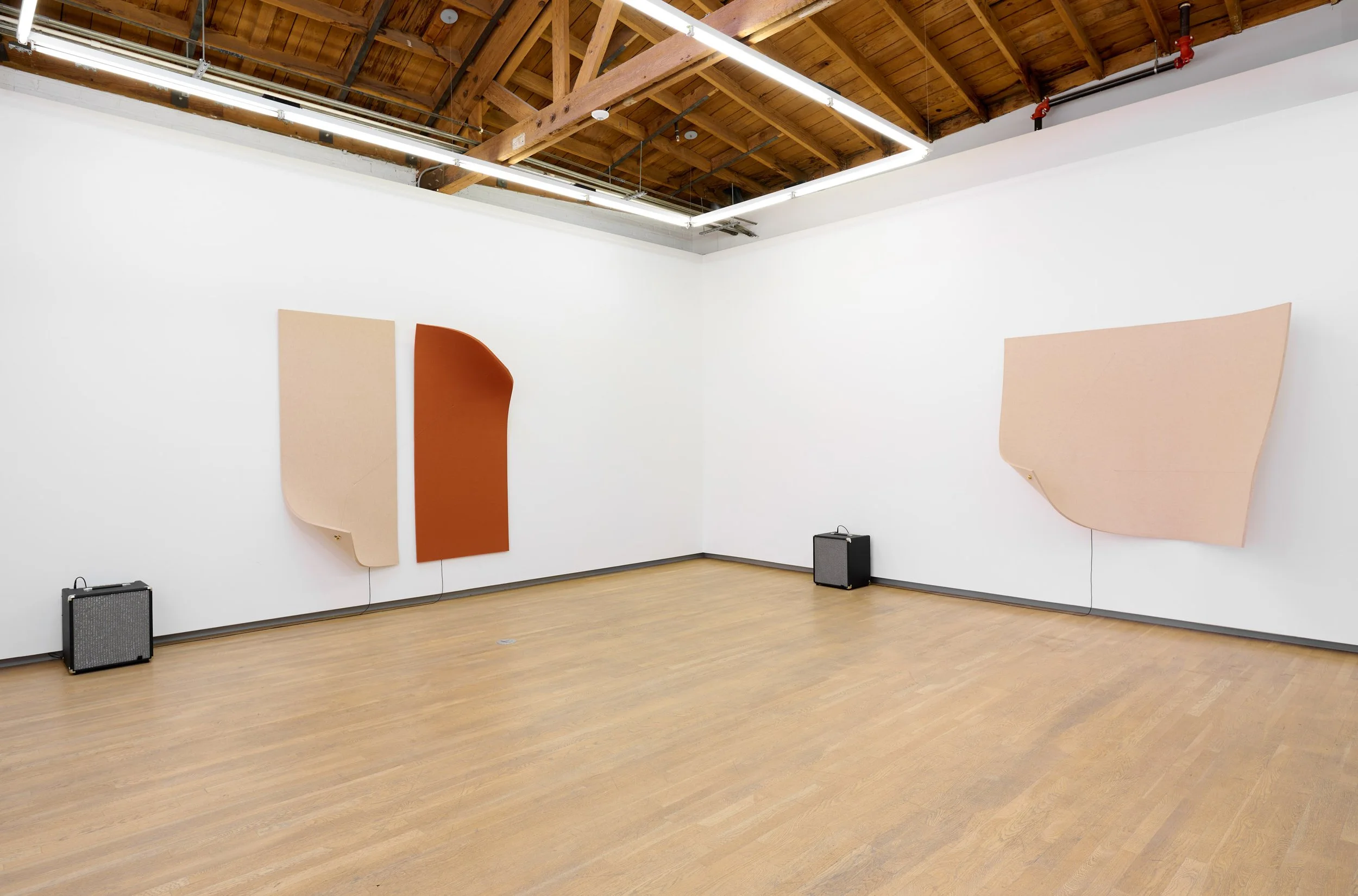 Naama Tsabar - Friction_5870.jpg