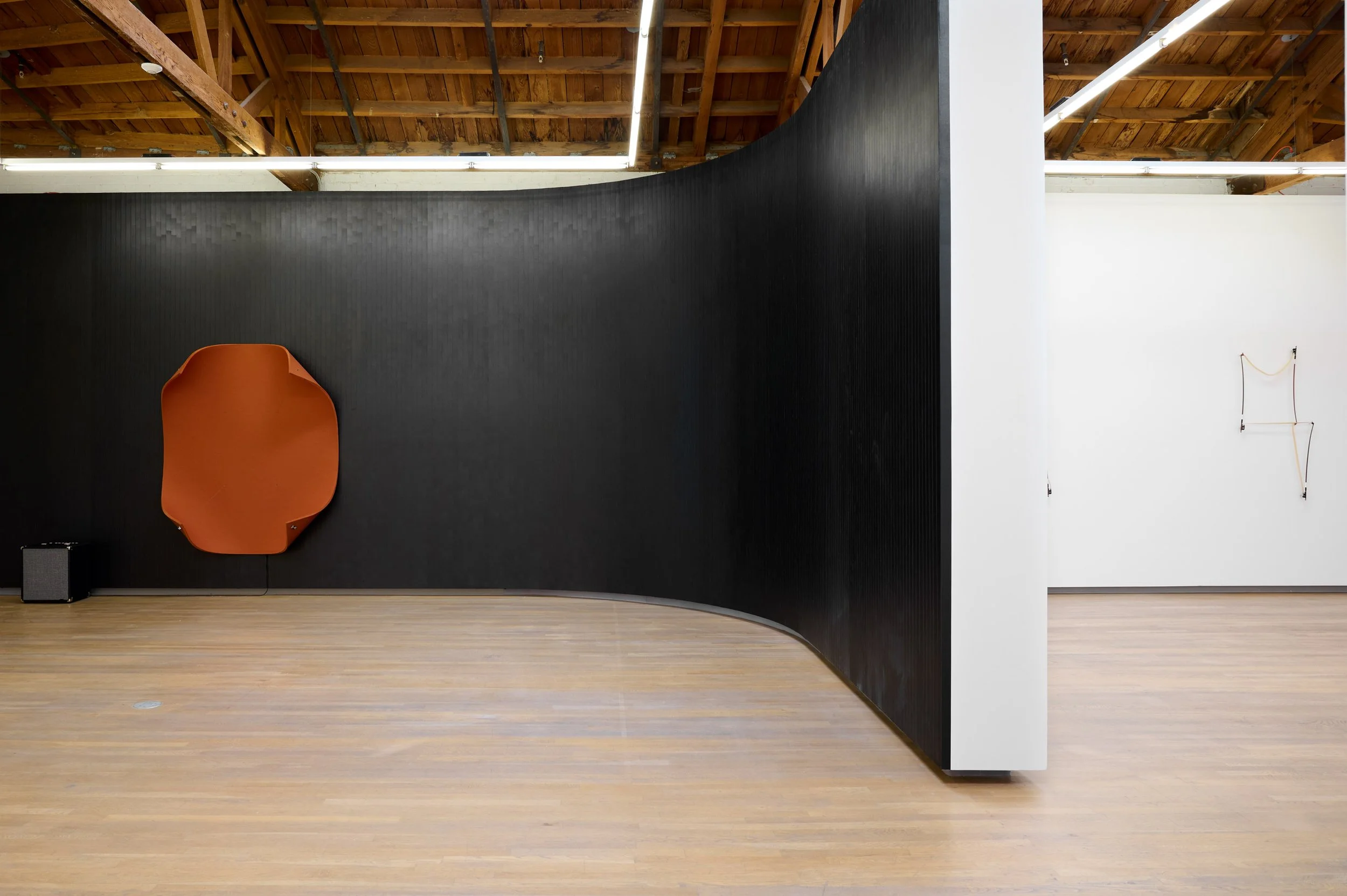 Naama Tsabar - Friction_5951.jpg