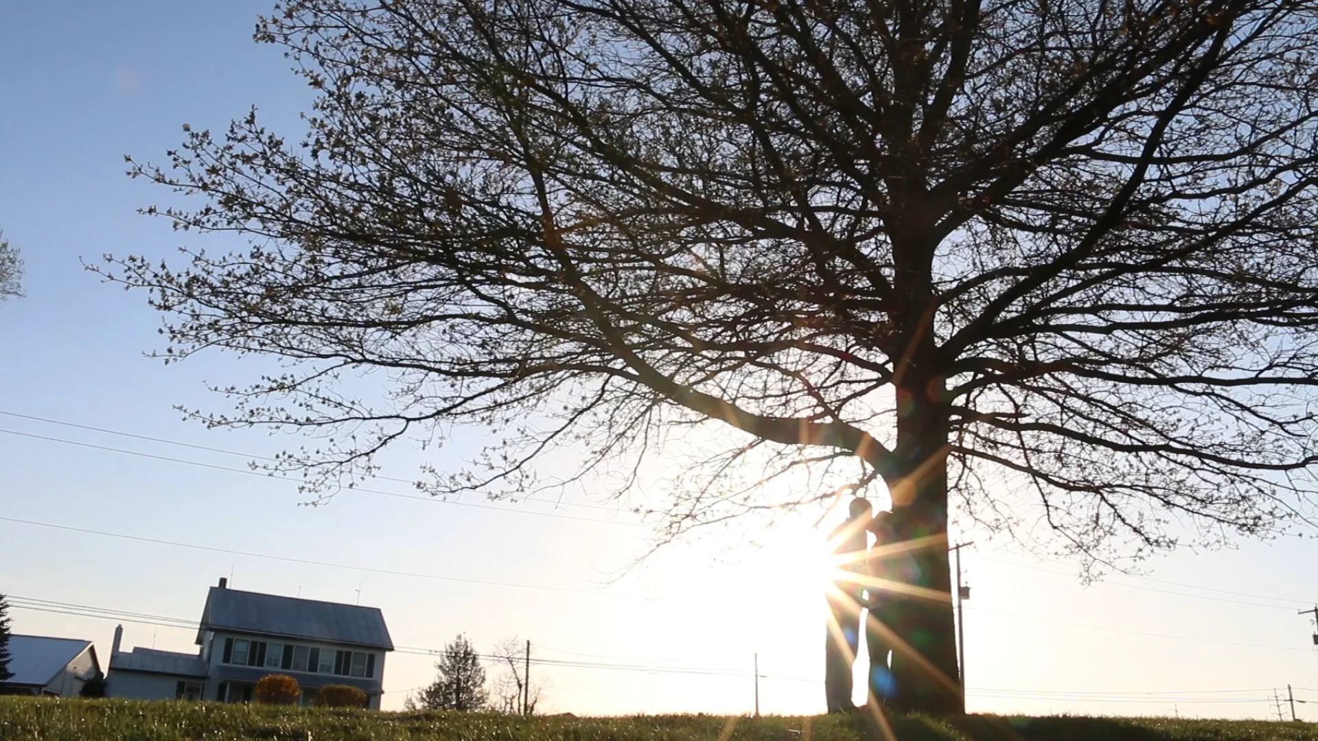 Vimeo Thumbnail.jpg
