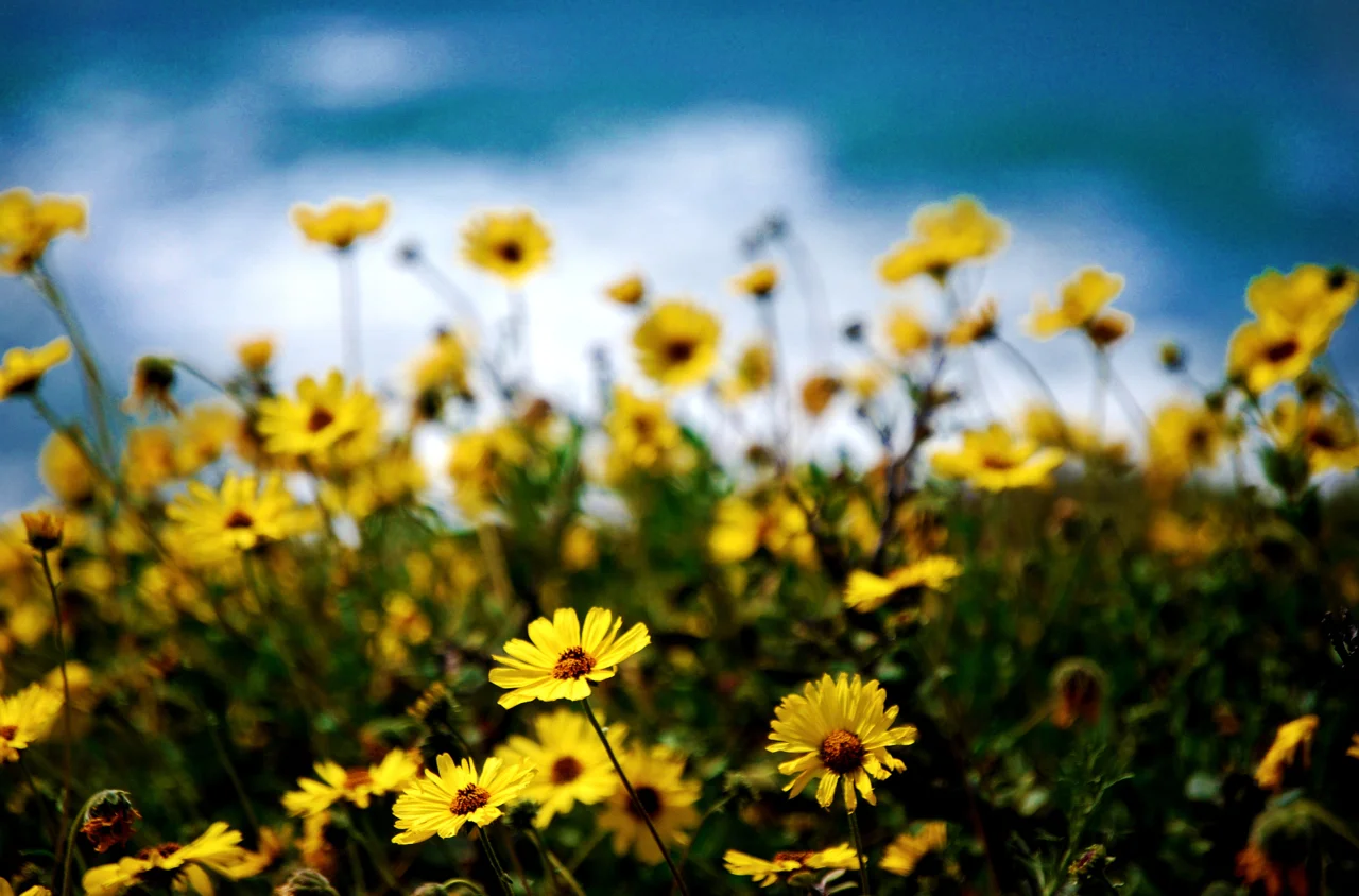 tumblr_lj5jgaTuRF1qanyffo1_1280.jpg