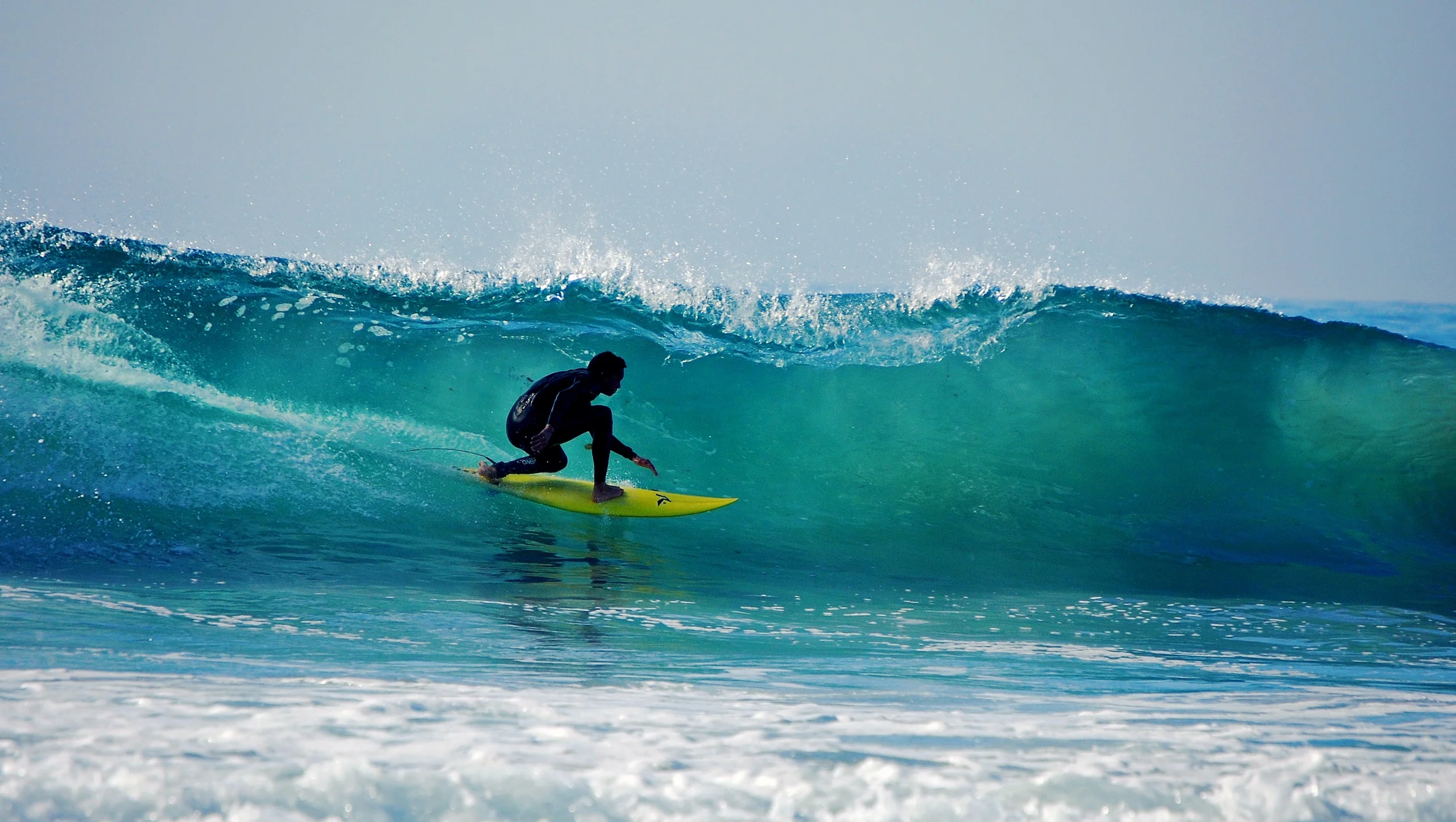 DSC_0879e.jpg