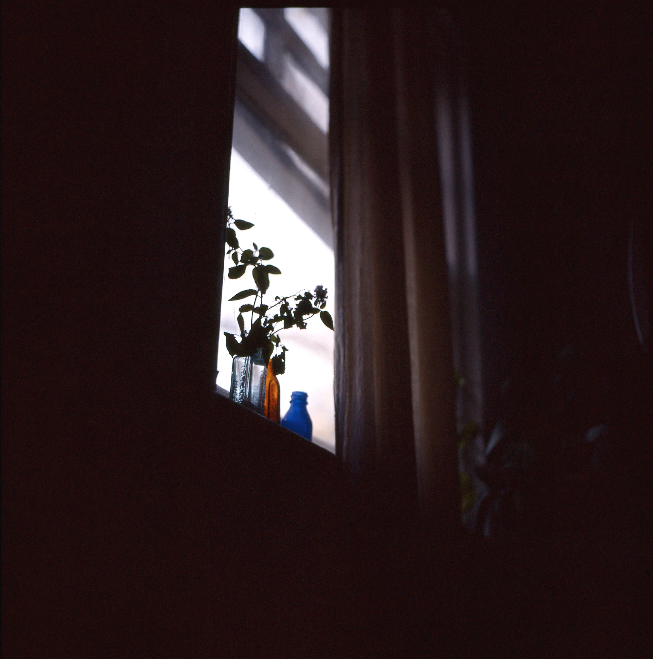 Fuji645 E6 Winter18002.jpg
