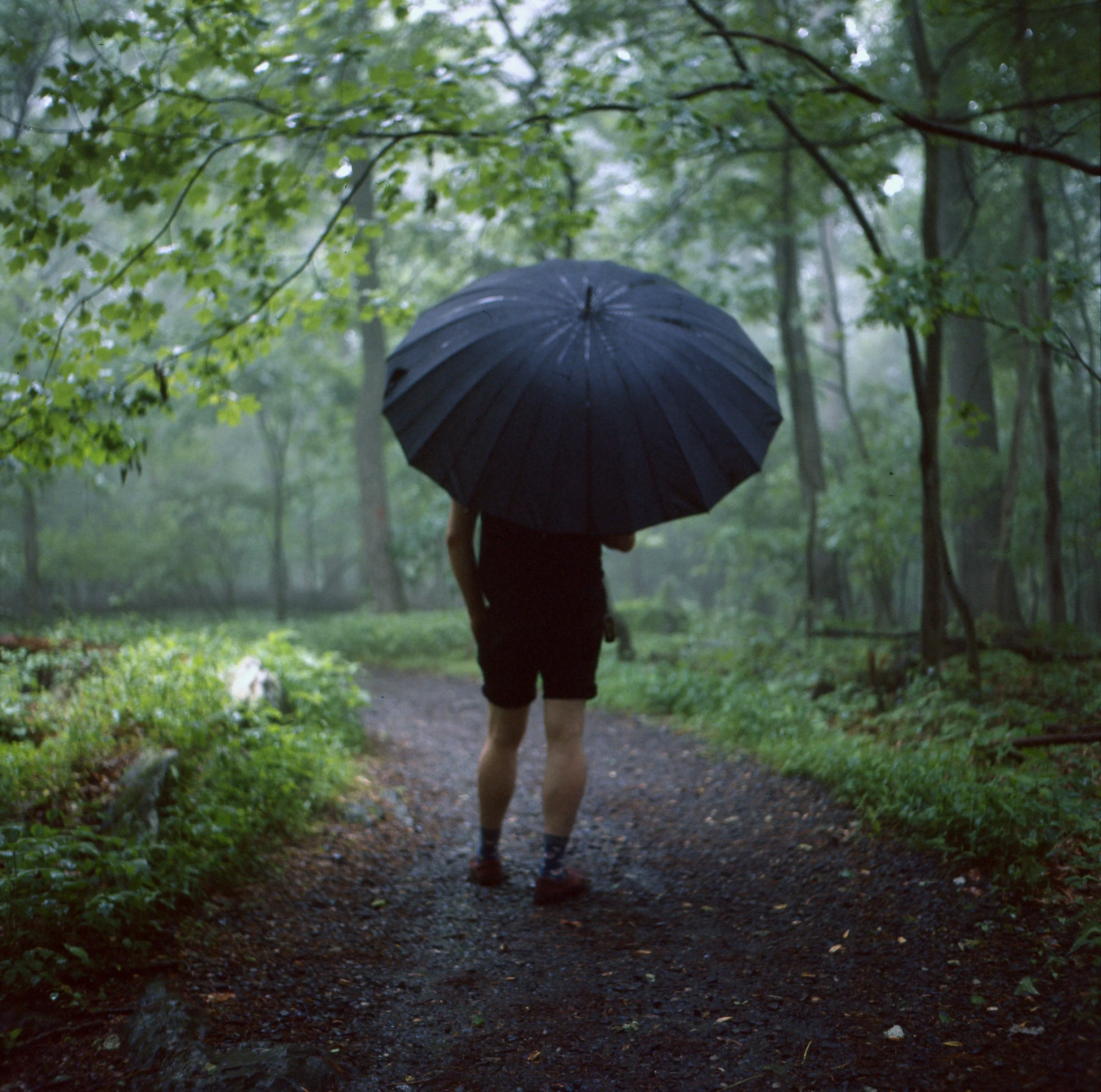 YashicaMat Summer 18013.jpg