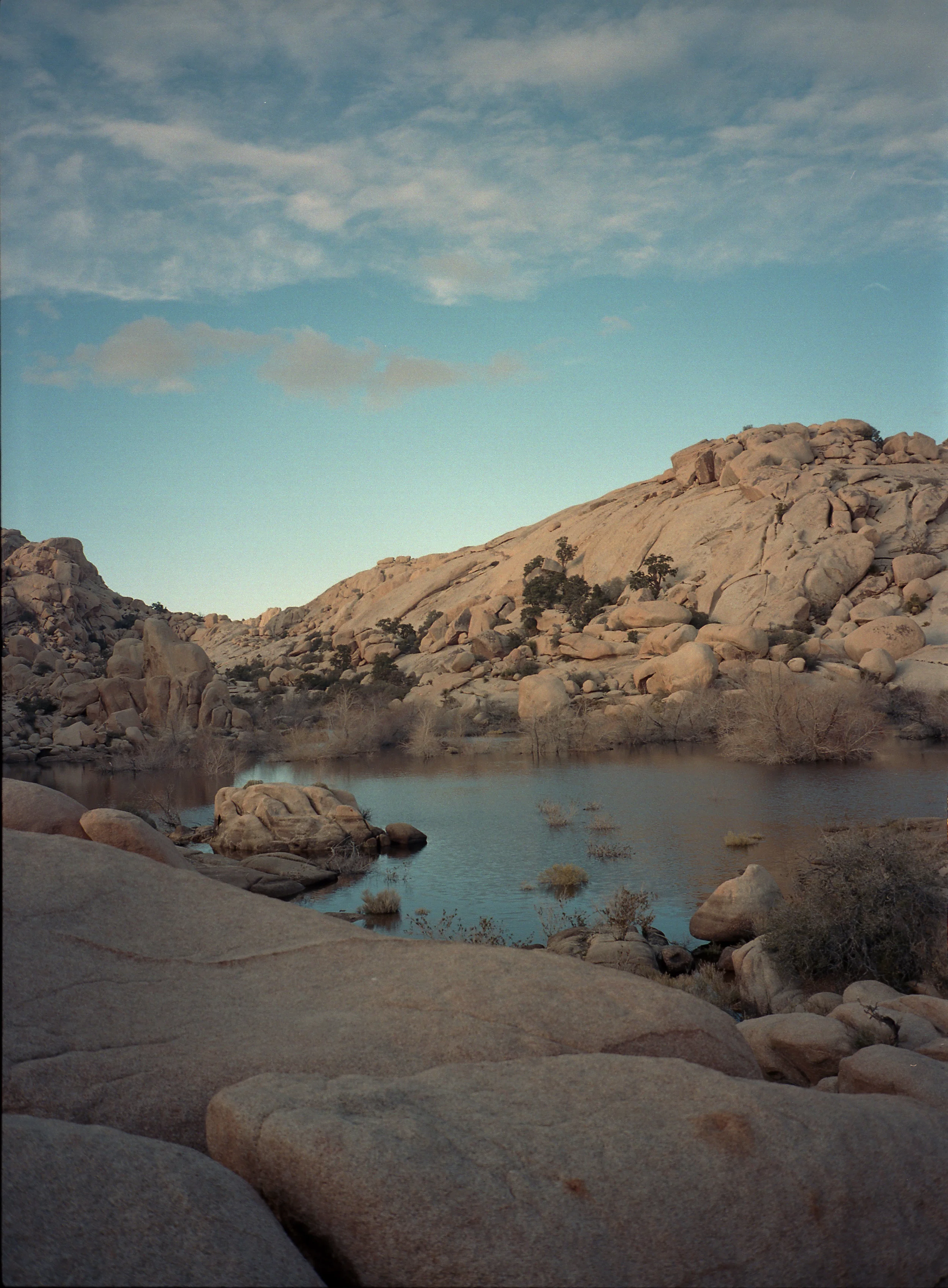California Fuji645001.jpg