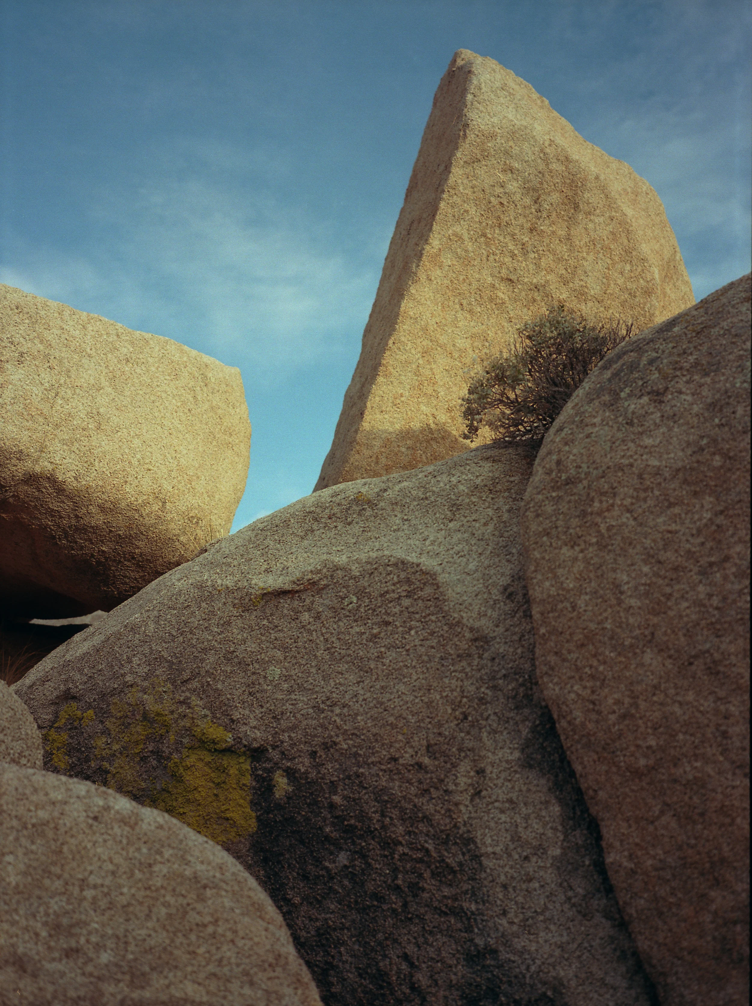 California Fuji645007.jpg