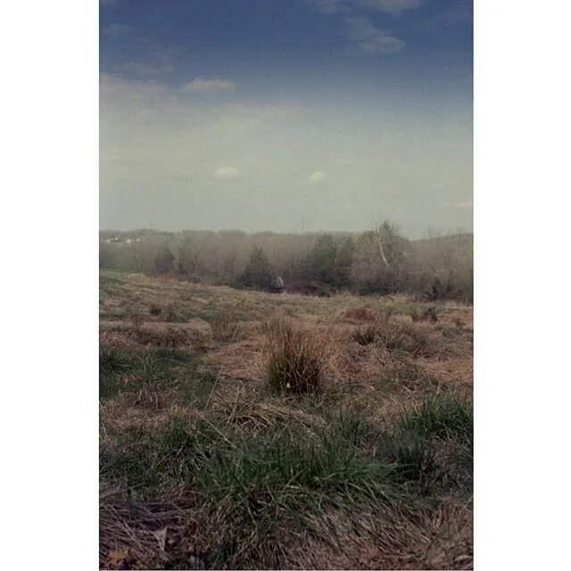 from a walk near a park in baltimore county to pass the quarantine time; she was a stranger to me. .
.
.
.
.
#yahicaministerd #yashicaminister #35mm #analogphotography #filmphotography #filmisnotdead #yesishootfilm #baltimorecovid #covid19 #naturepho