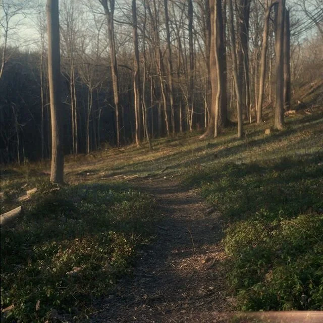 Baltimore County, MD
.
.
.
.
.
#baltimoreonfilm #filminbaltimore #mediumformat #fuji400hpro #trippyfilm #balrimorenature #covid19photo