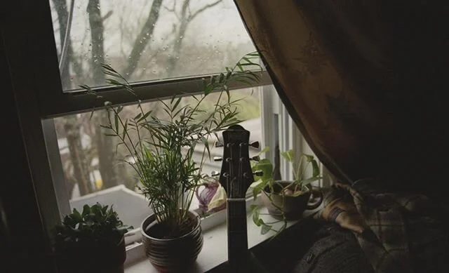 35mm || home
.
.
.
.
.
#analog #analogphotography #film #35mm #quarantineonfilm #quarantine #baltimore