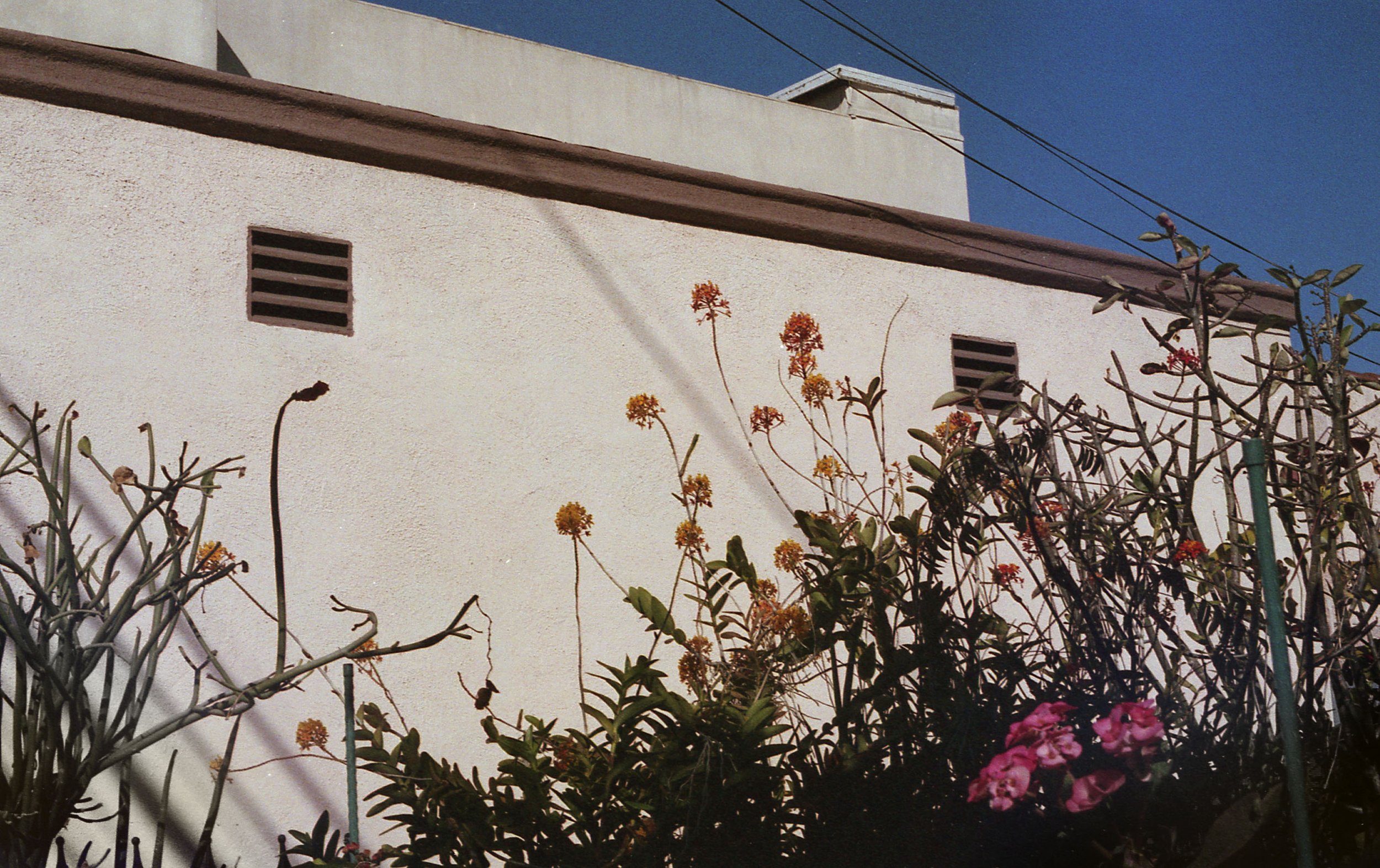 Pentax_2022_Roll1_013.jpg