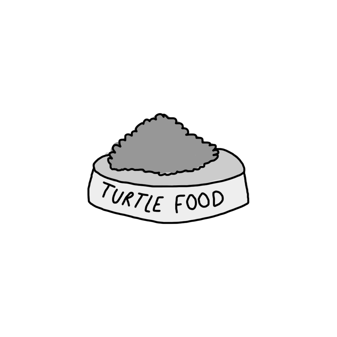 turtle.png