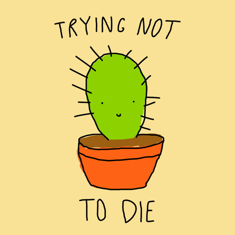cactus.gif