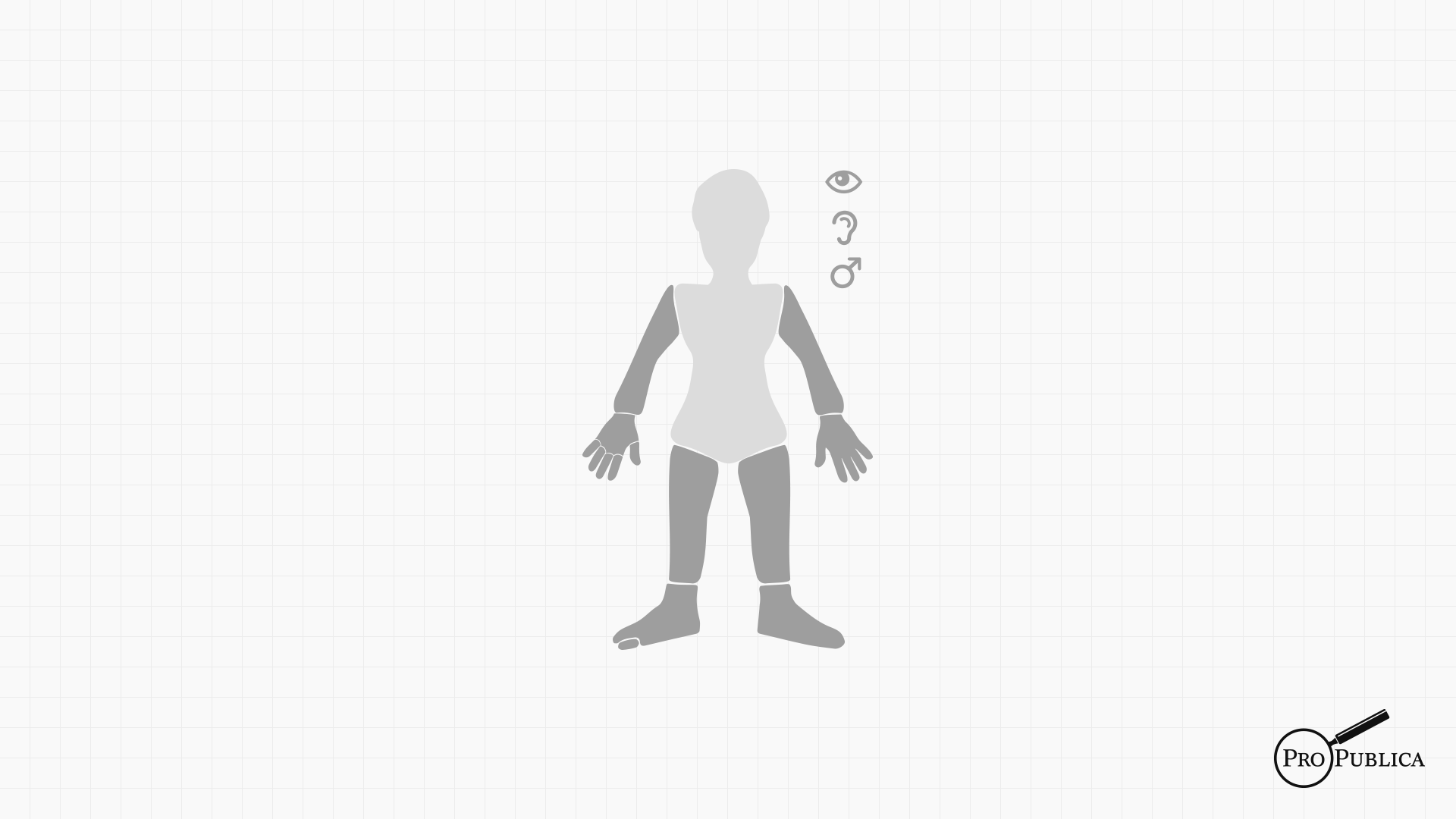 05Limbs.png