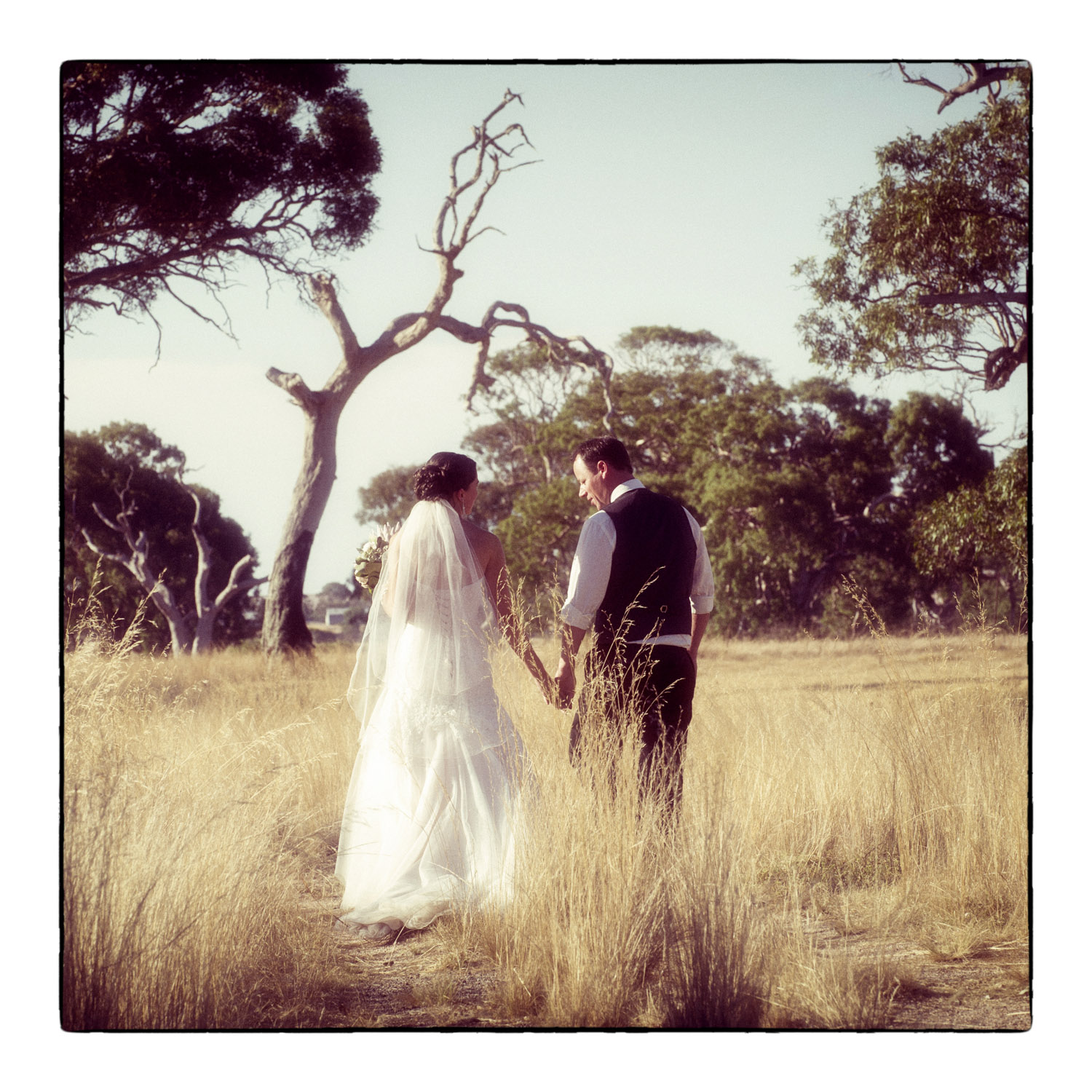  Geelong wedding photographer 