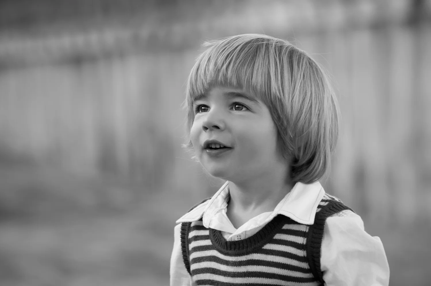 portrait_006.jpg