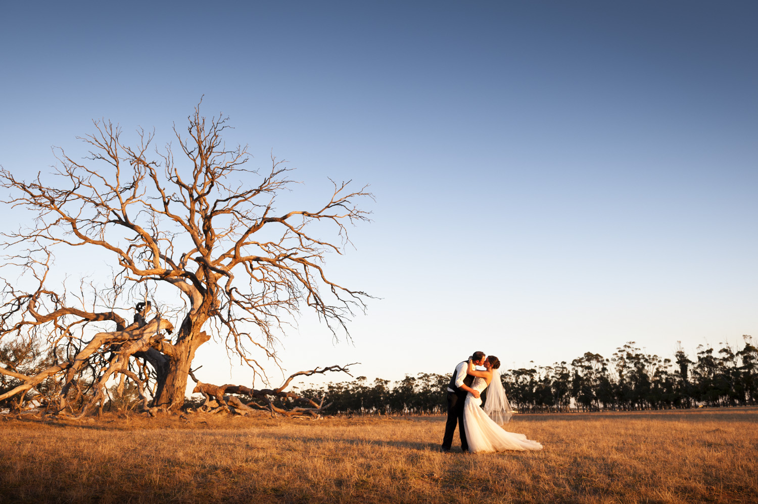  Geelong wedding photographer 