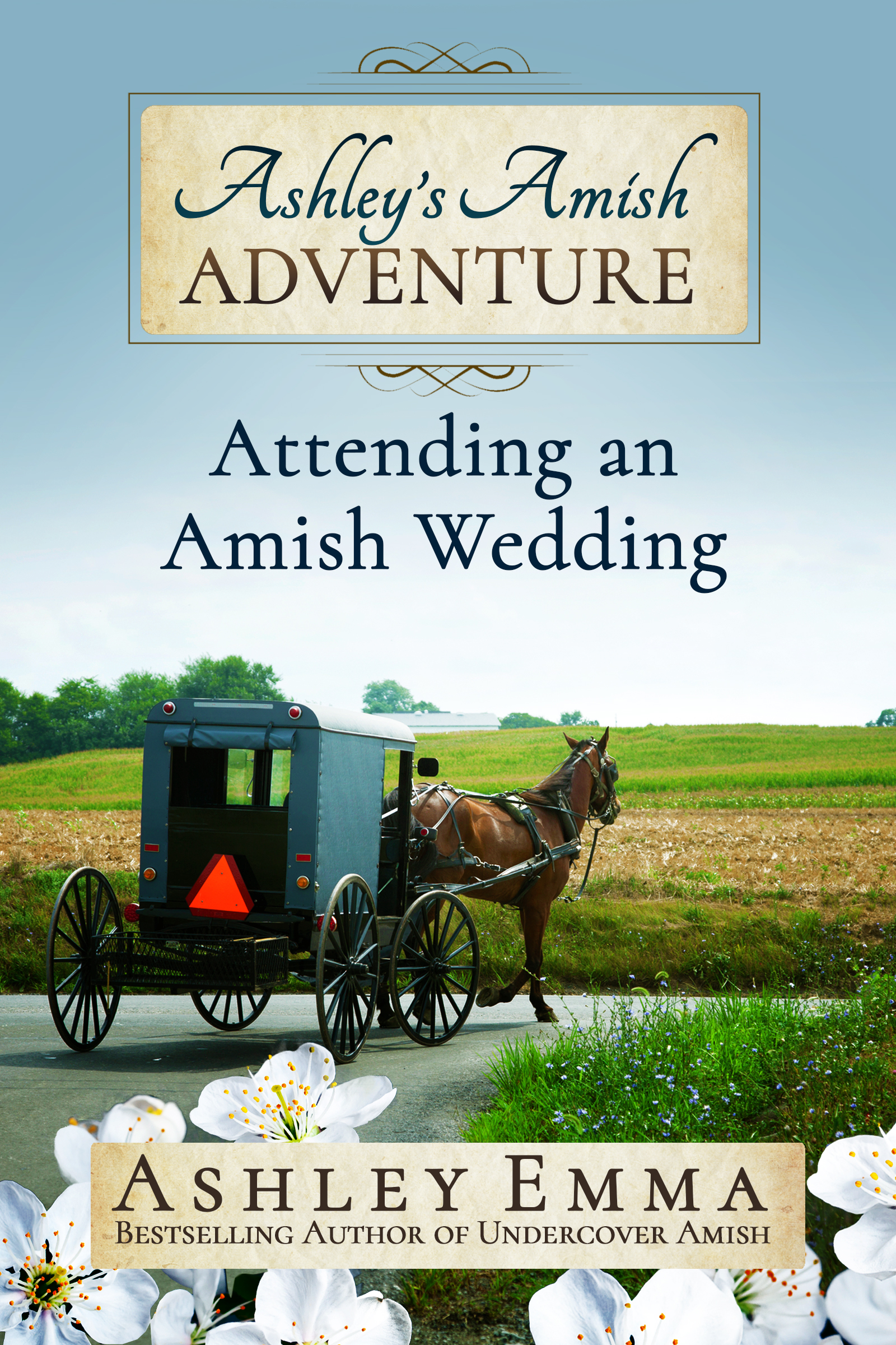 Ashleys_Amish_Adventure_2_Final.jpg
