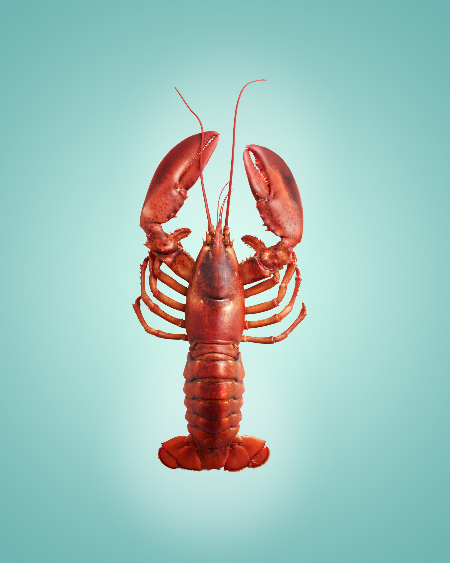 lobster hyper real.jpg