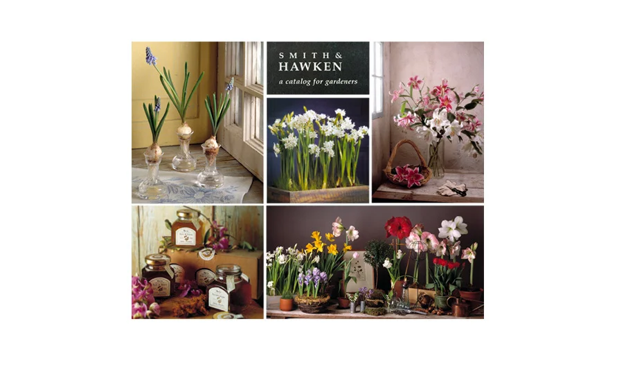 22_0_238_1smithflowers.jpg