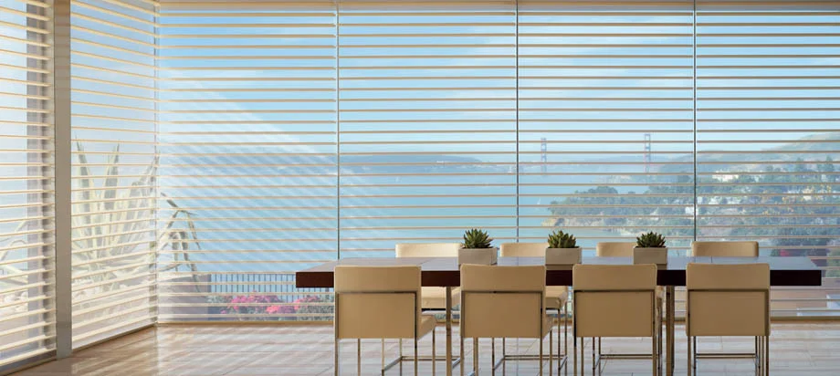 HUNTER DOUGLAS
