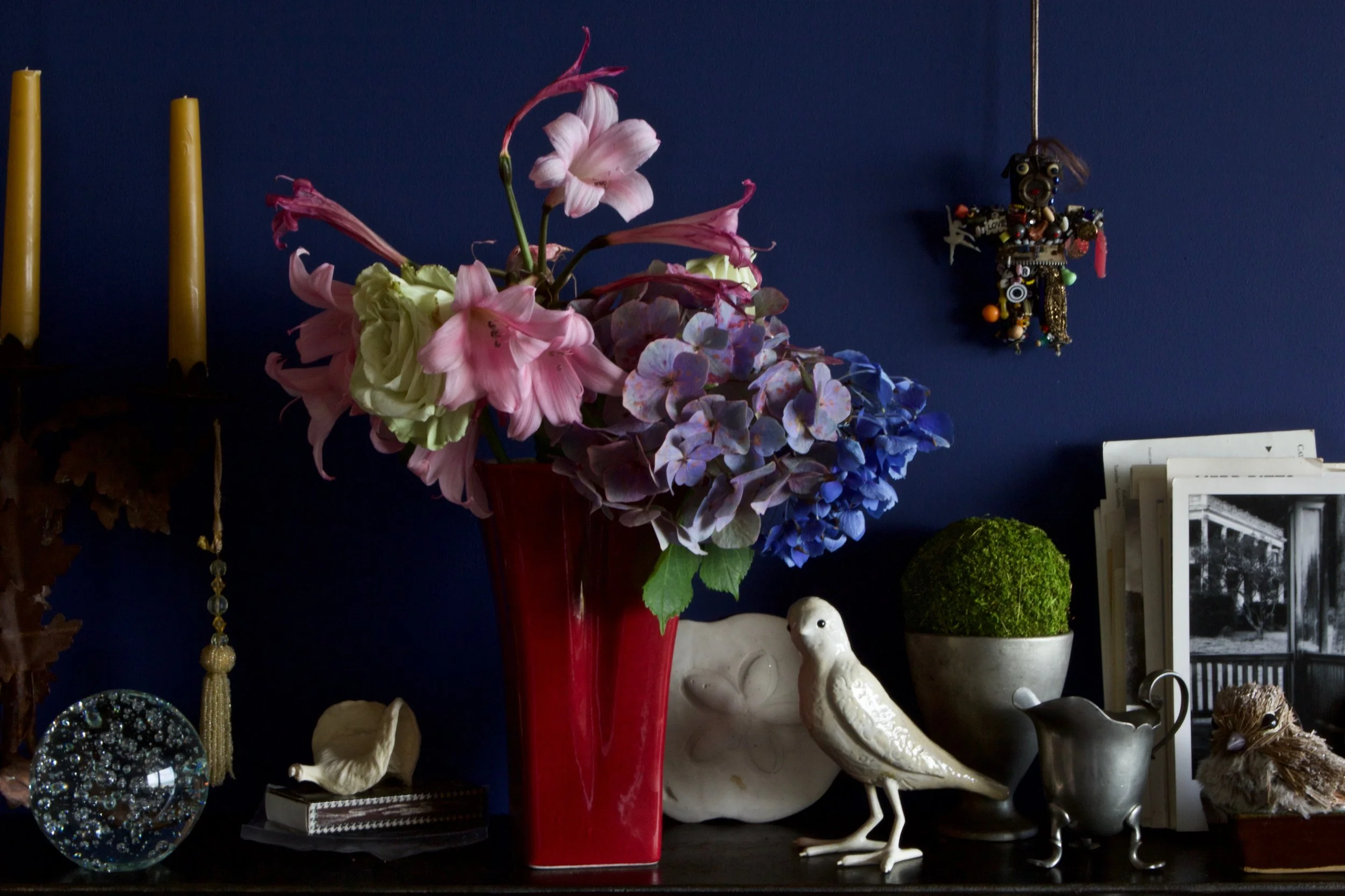 bird still life .jpg