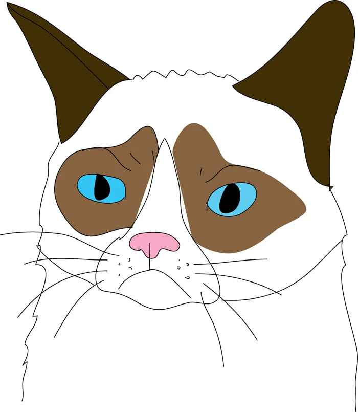 grumpycat.jpg