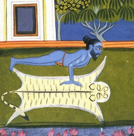 yogiinmayurasana.jpg