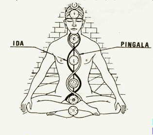 Awaken the Chakras