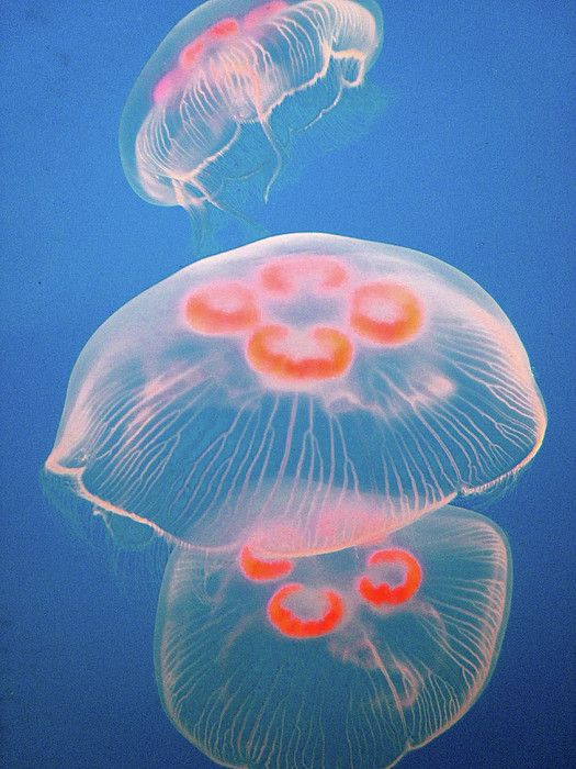 floataway.jpg