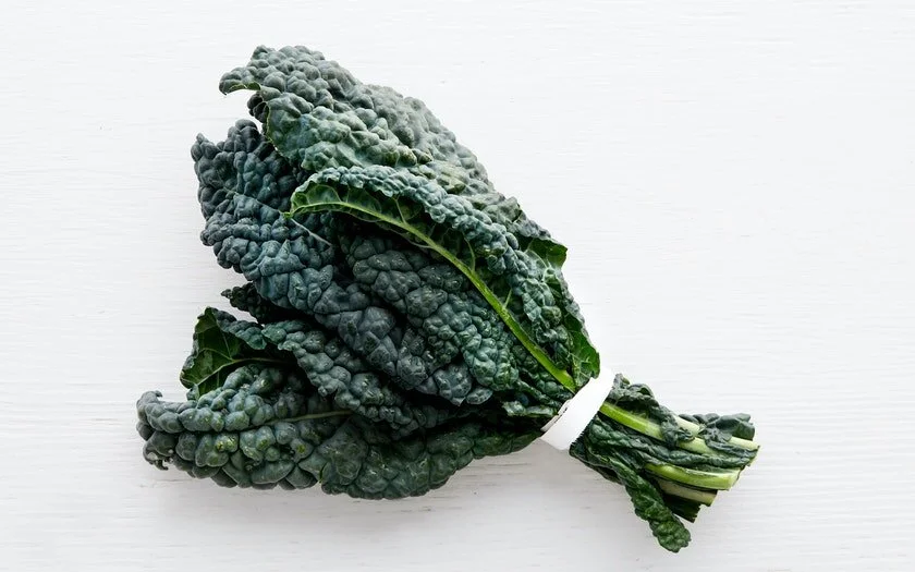 Vegan & Vegetarian Protein Sources from Real Whole Foods
