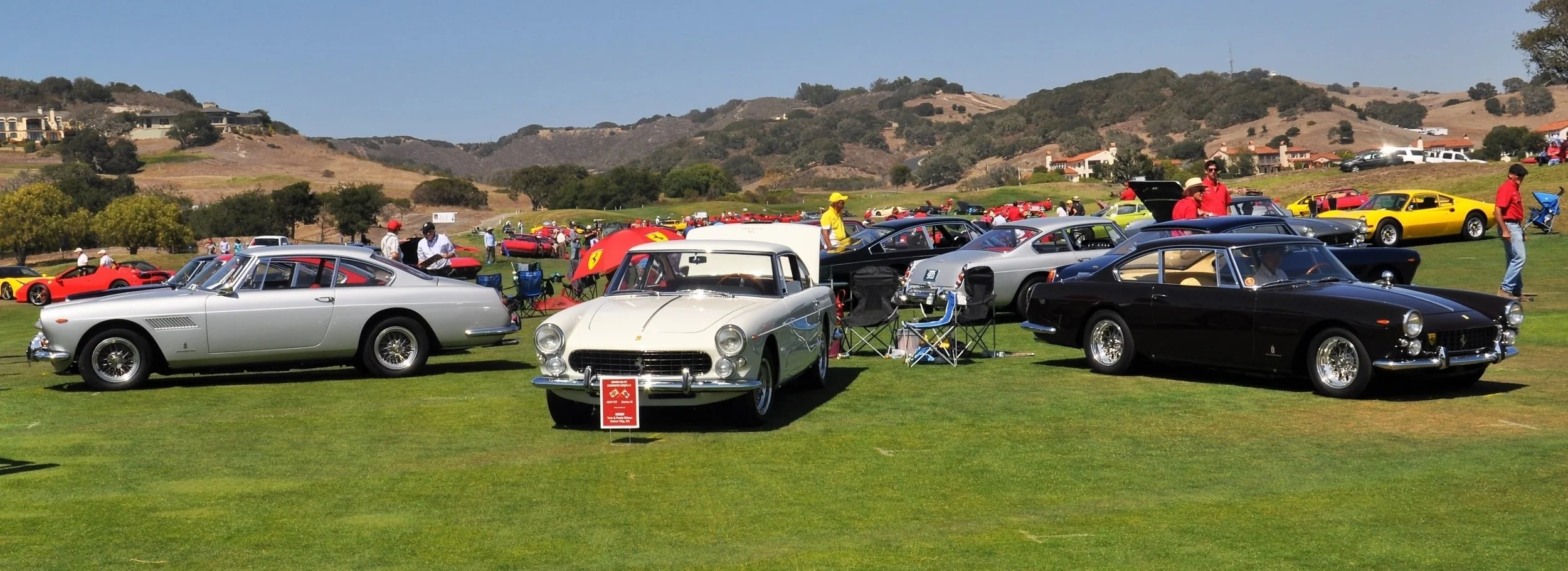 FCA Crop 5.jpg