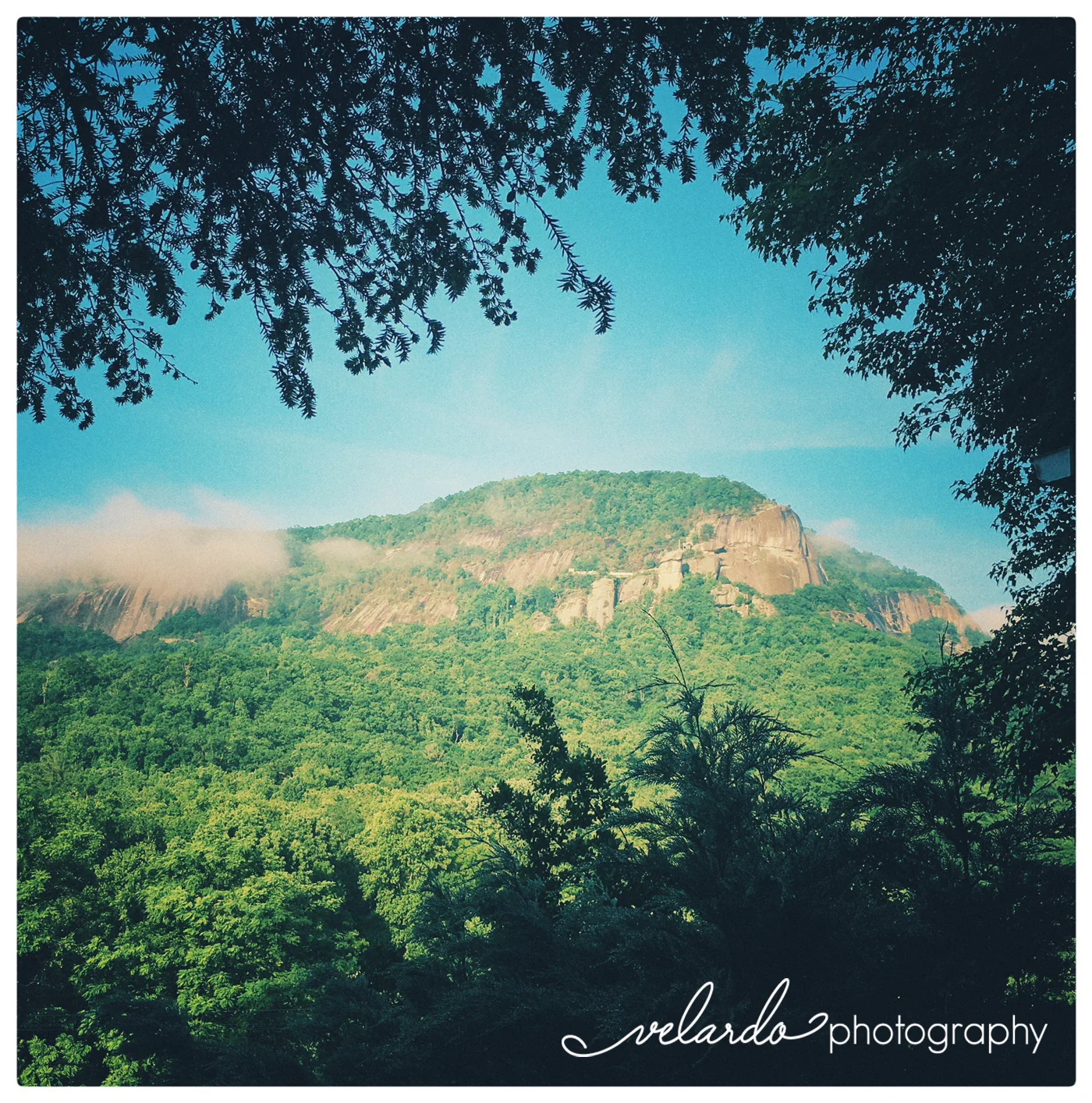 MAY | CHIMNEY ROCK | NC