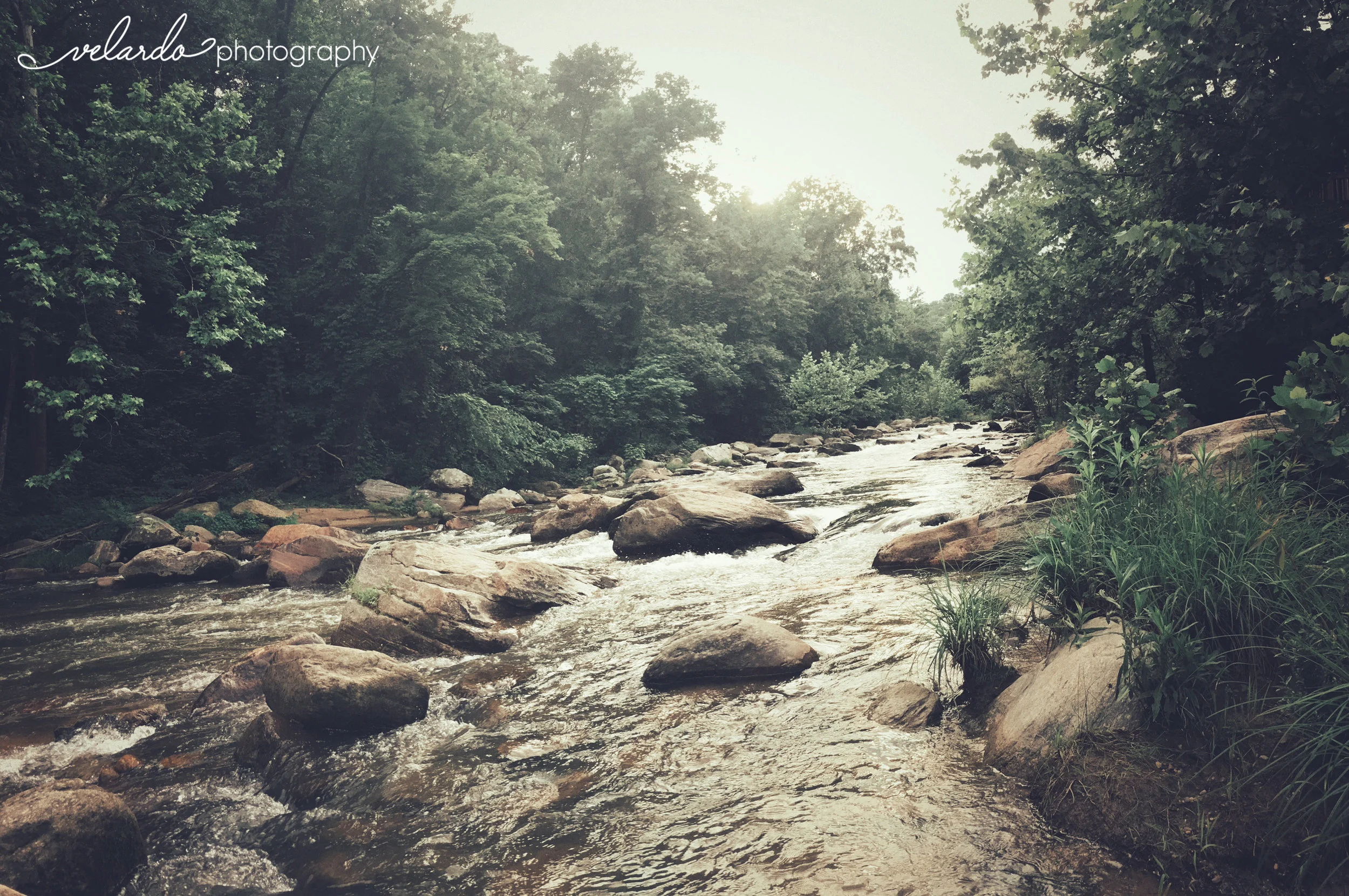 MAY | CHIMNEY ROCK | NC