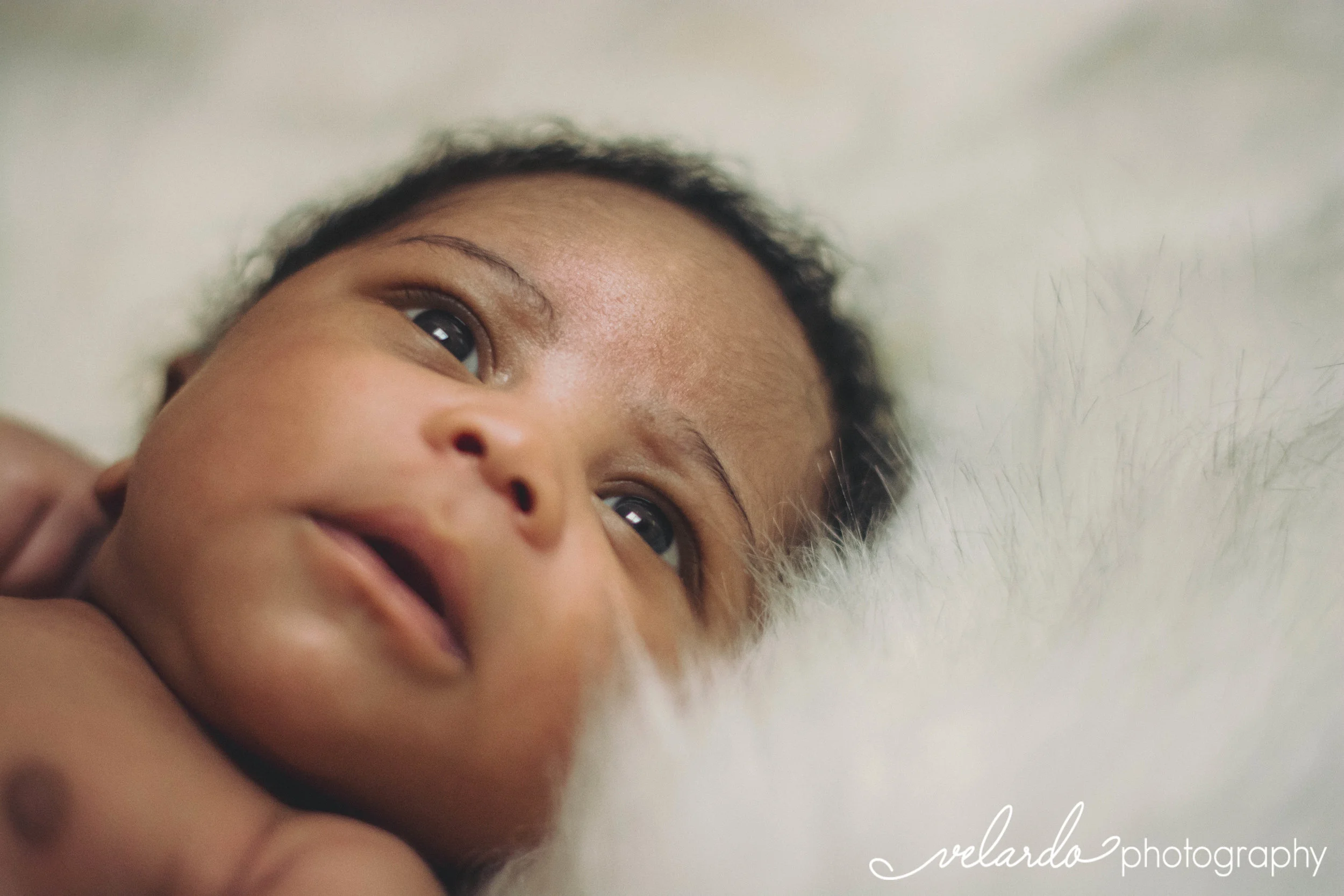 FEB | NEWBORN | HARLEM