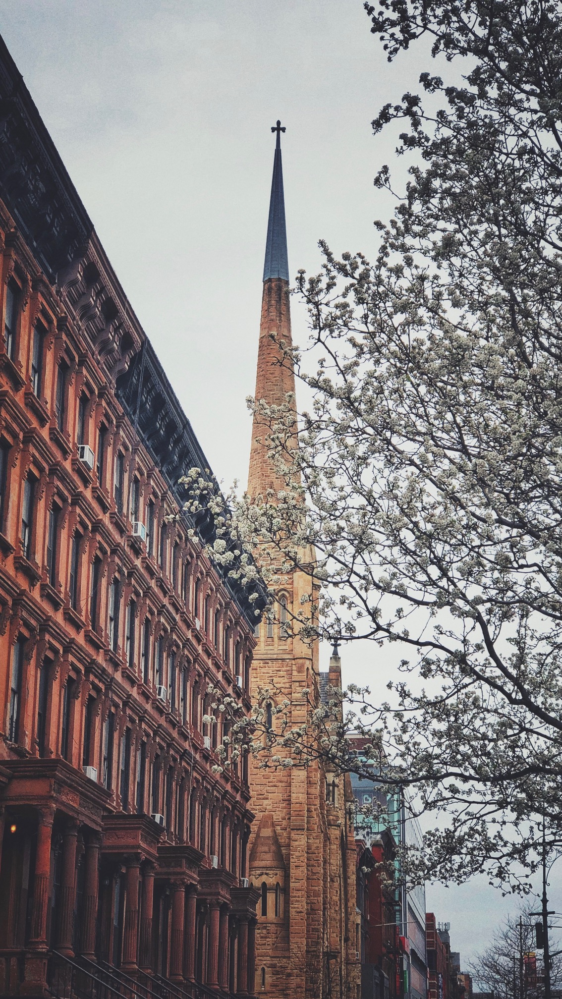 Harlem | NYC | There's nothing more life giving than walking through my Harlem neighborhood and beyond in all different directions! Walking 3-5 miles a day in NYC isn't enough for me most days. When you walk, you get to see sights as beautiful as this!
