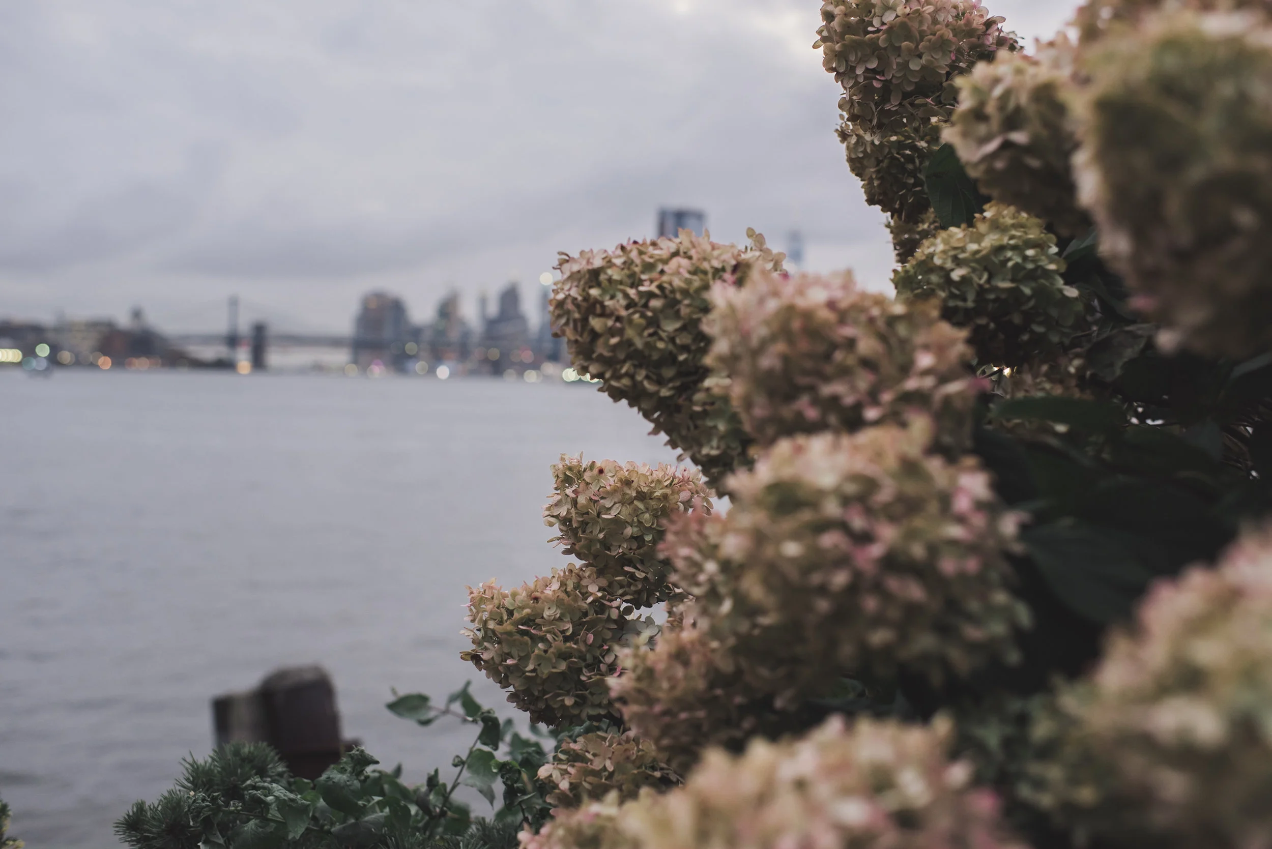Williamsburg | Brooklyn NYC