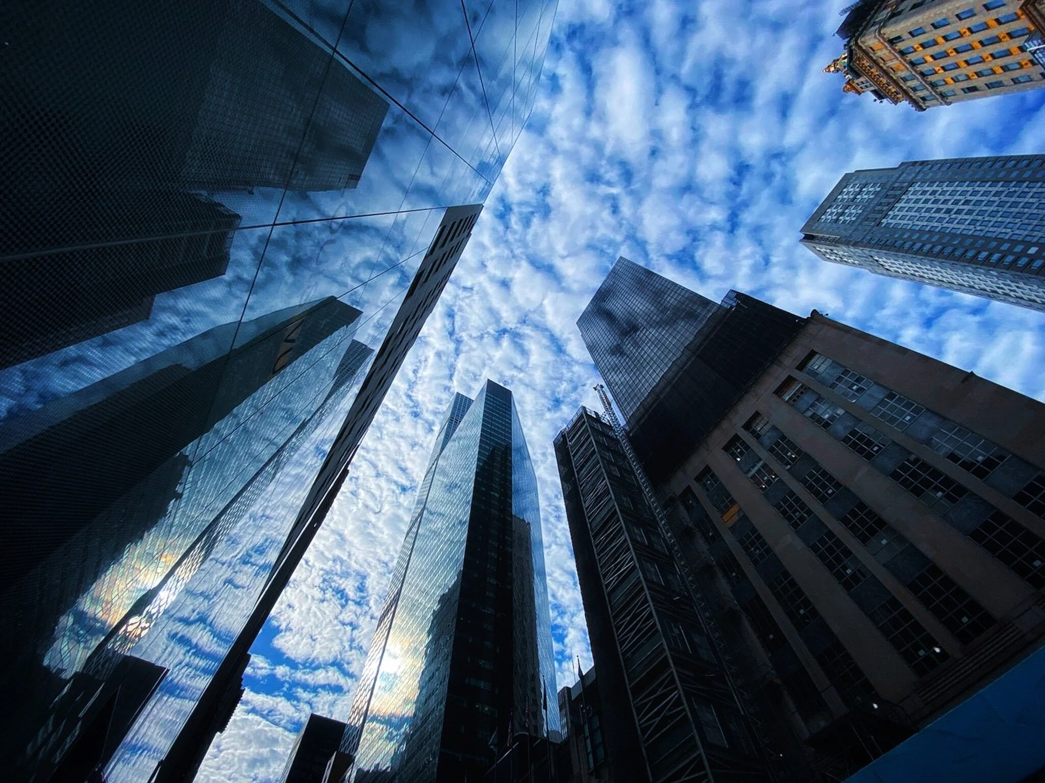 © 2020 Tanya Gale Velardo