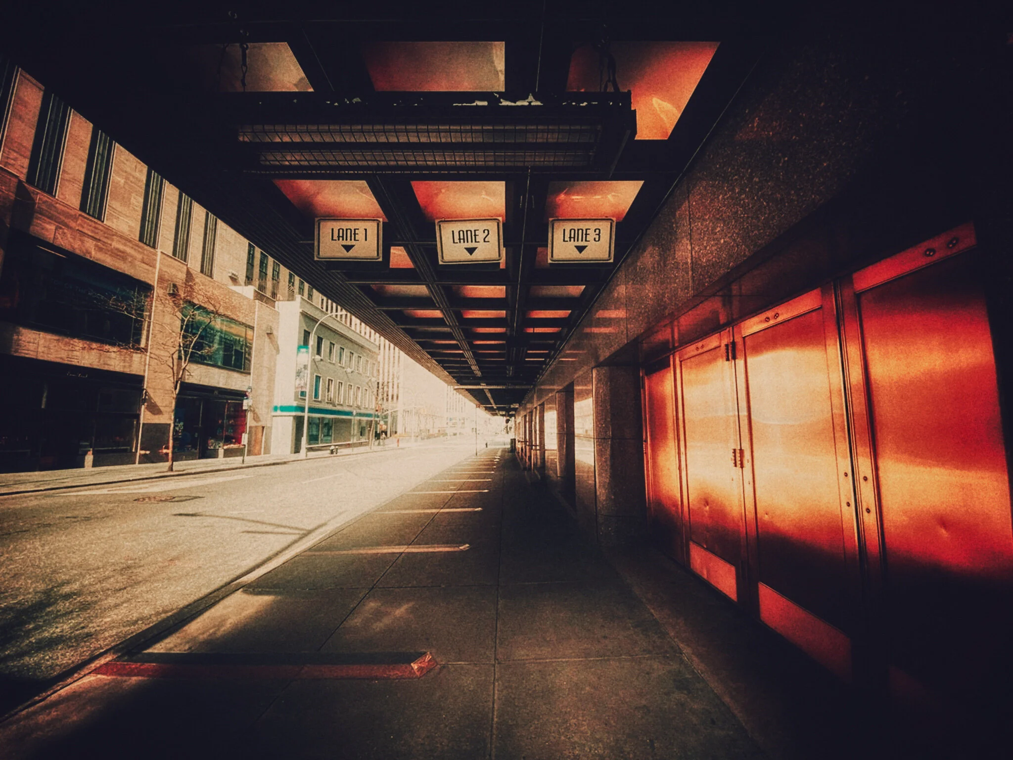 © 2020 Tanya Gale Velardo