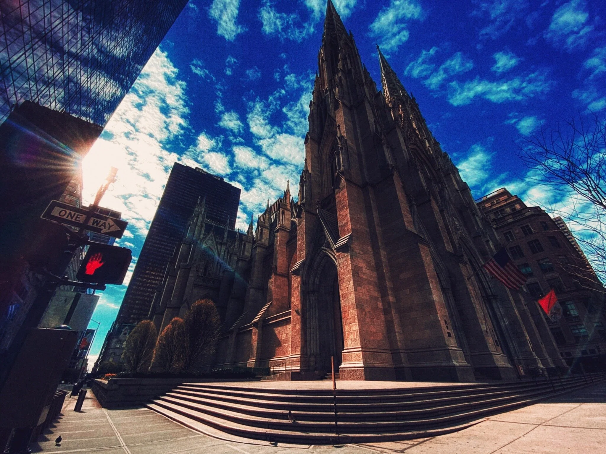 © 2020 Tanya Gale Velardo