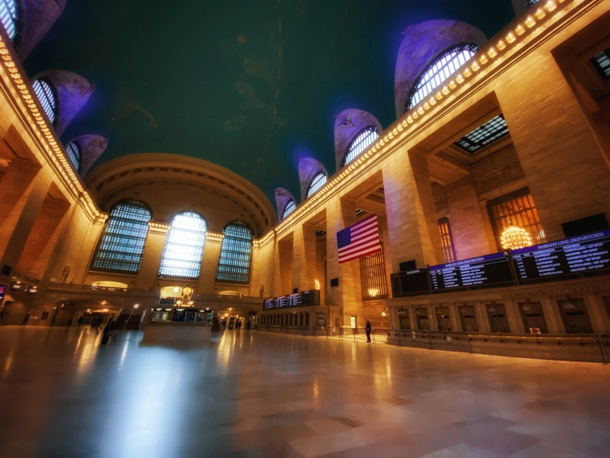 © 2020 Tanya Gale Velardo