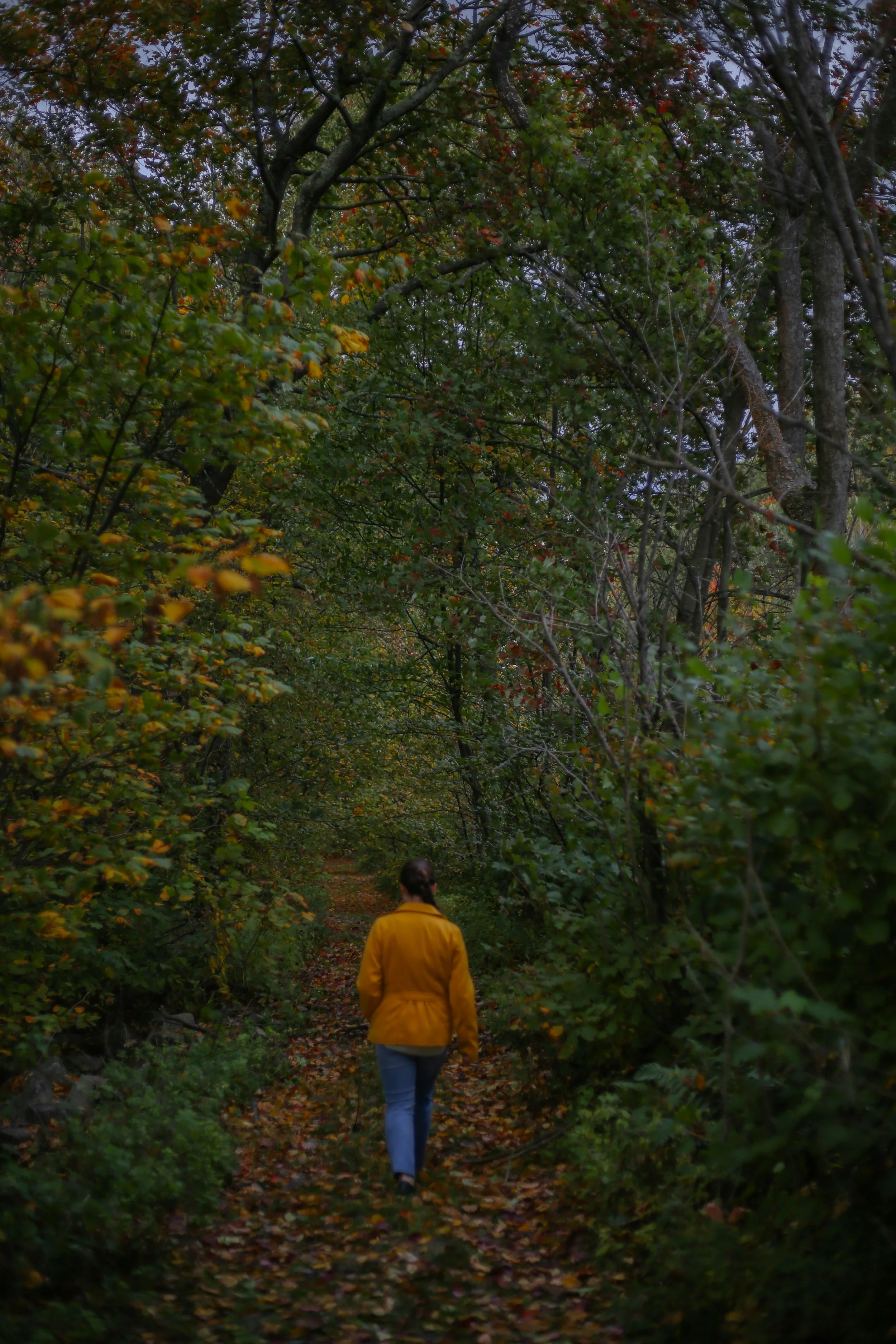 2023Oct_FalbLomie_SeniorPhotos104.jpg