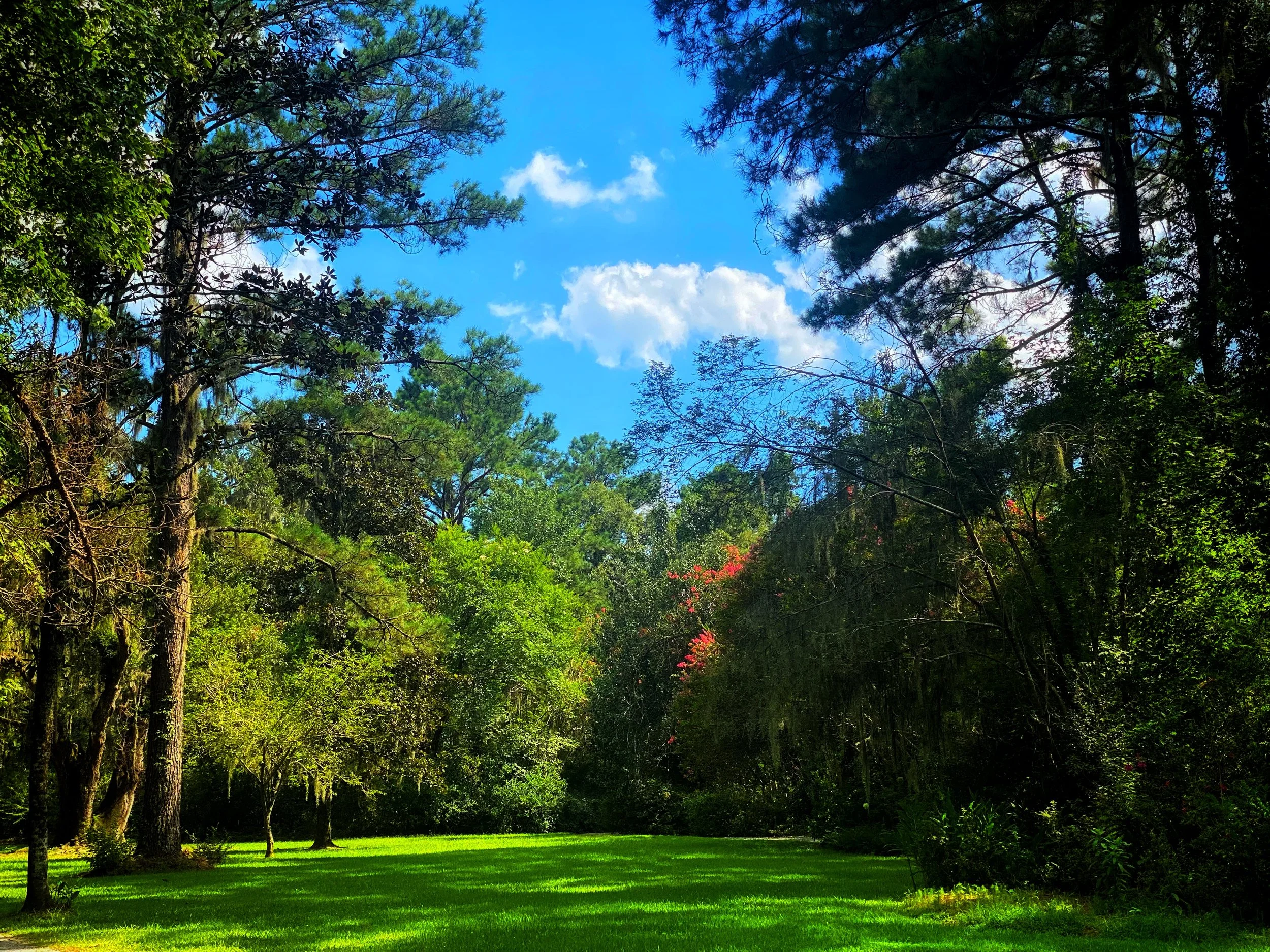 FullSizeRender 34.jpg