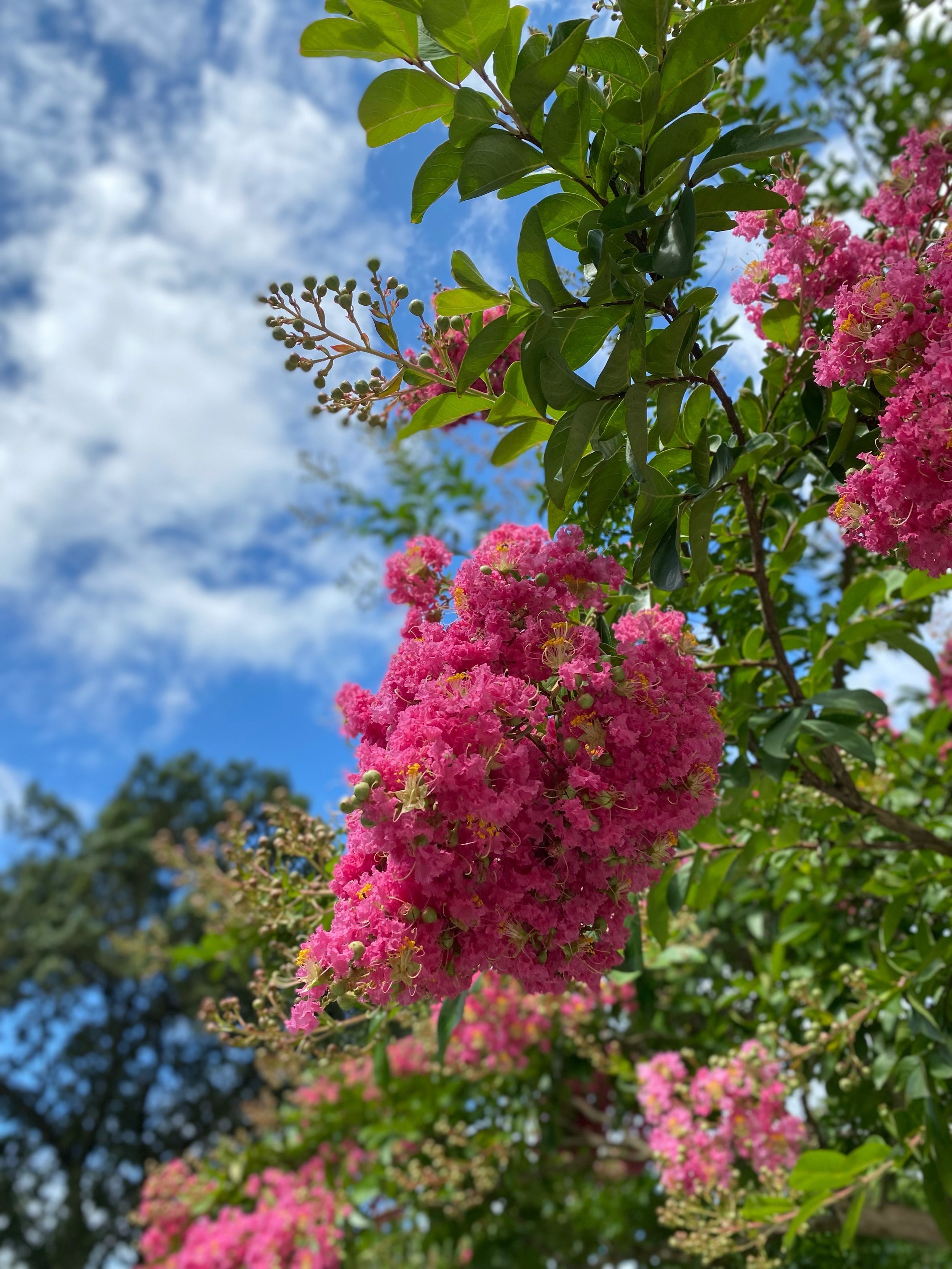 FullSizeRender 45.jpg