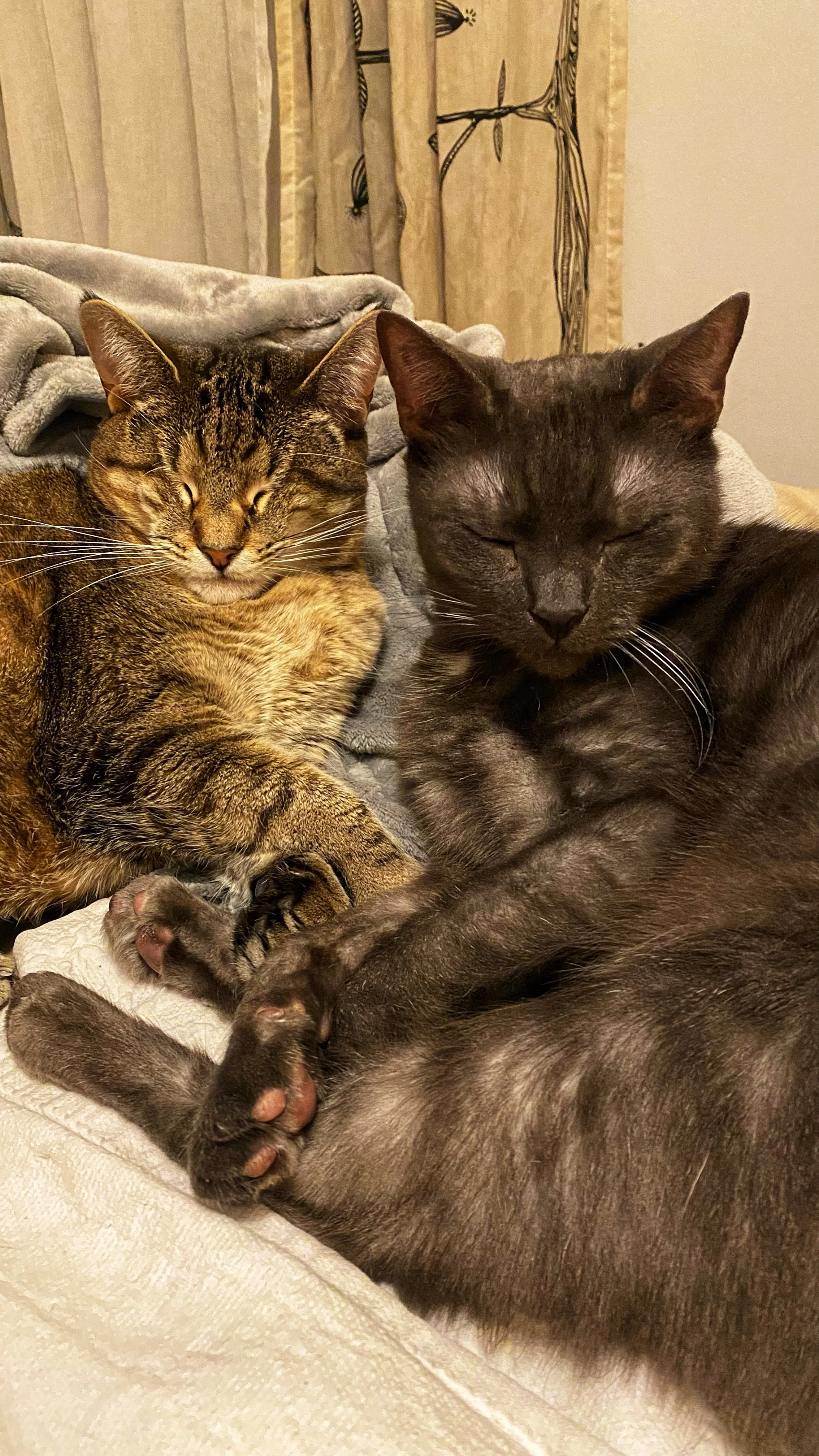 FullSizeRender 229.jpg