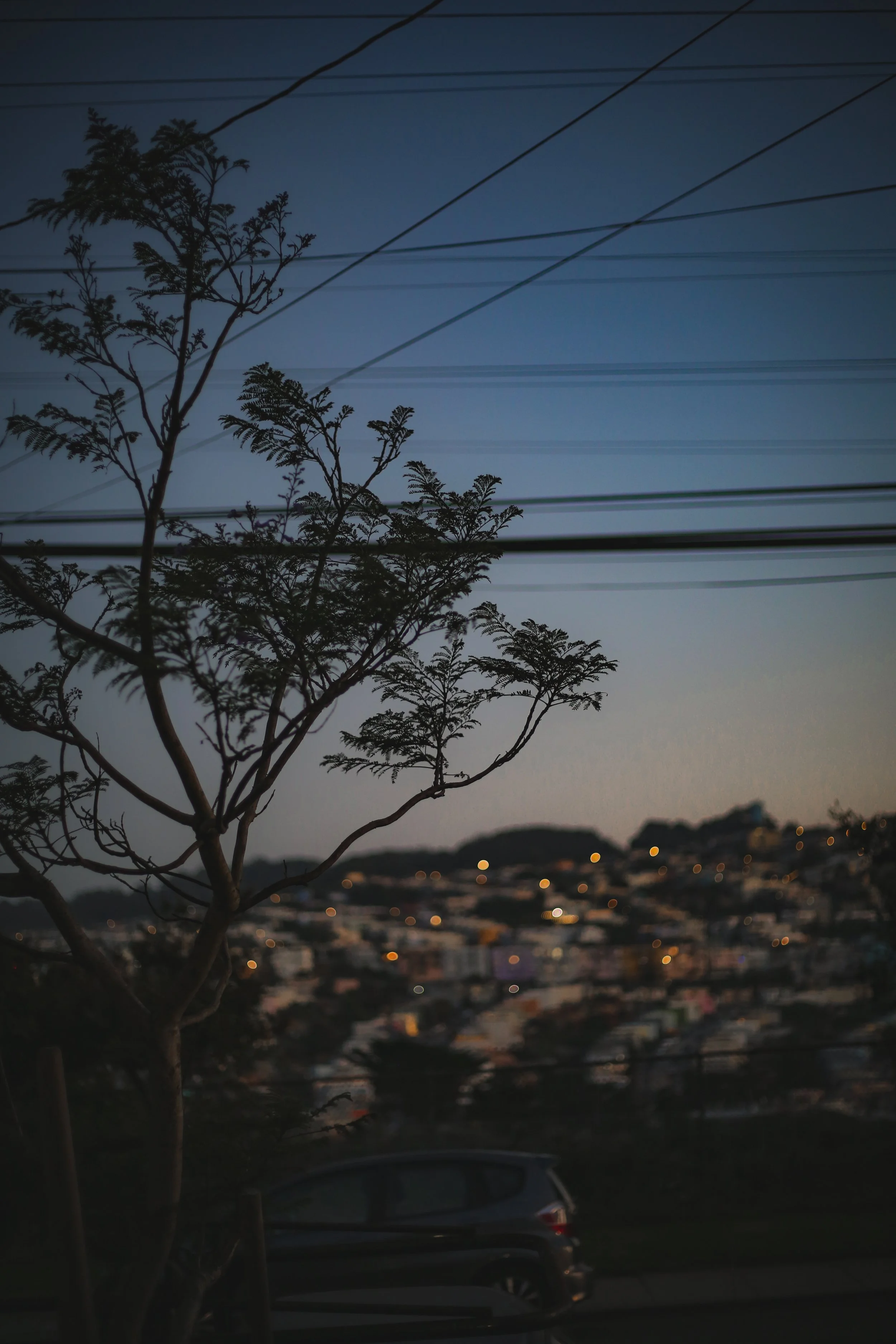 Aug28.2023_001 copy.jpg