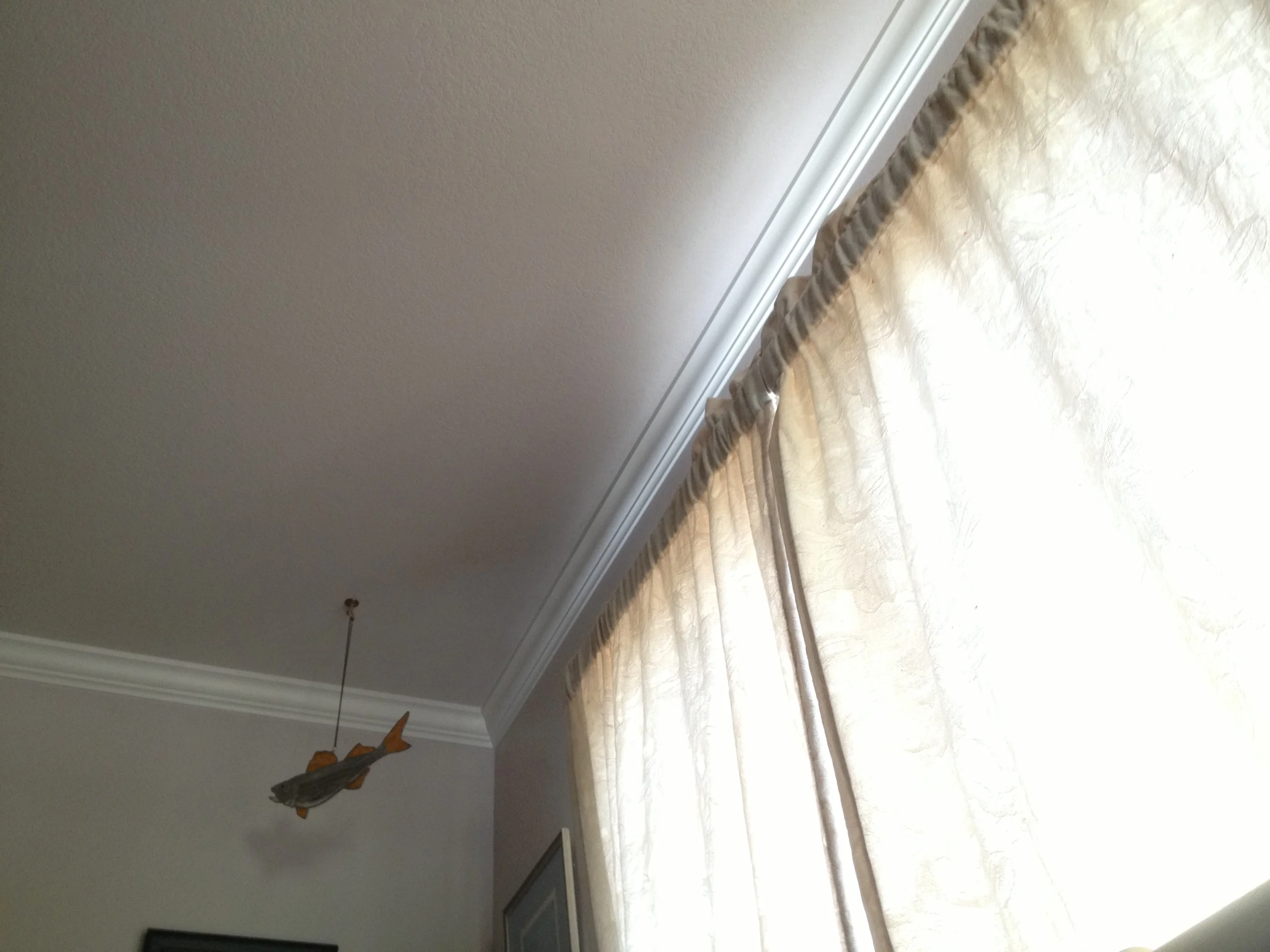 marchapril2013 263.JPG