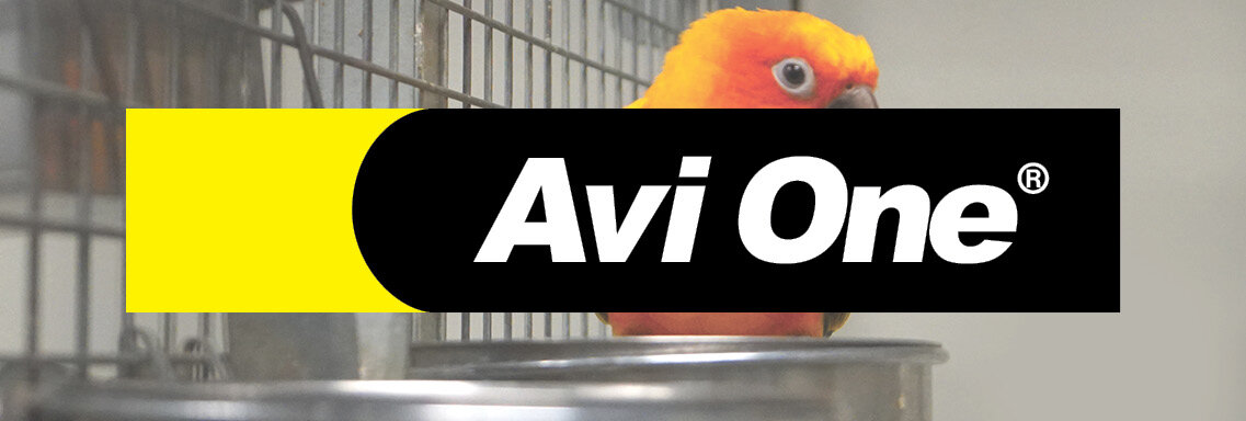 Avi One 1137 X 384px.jpg